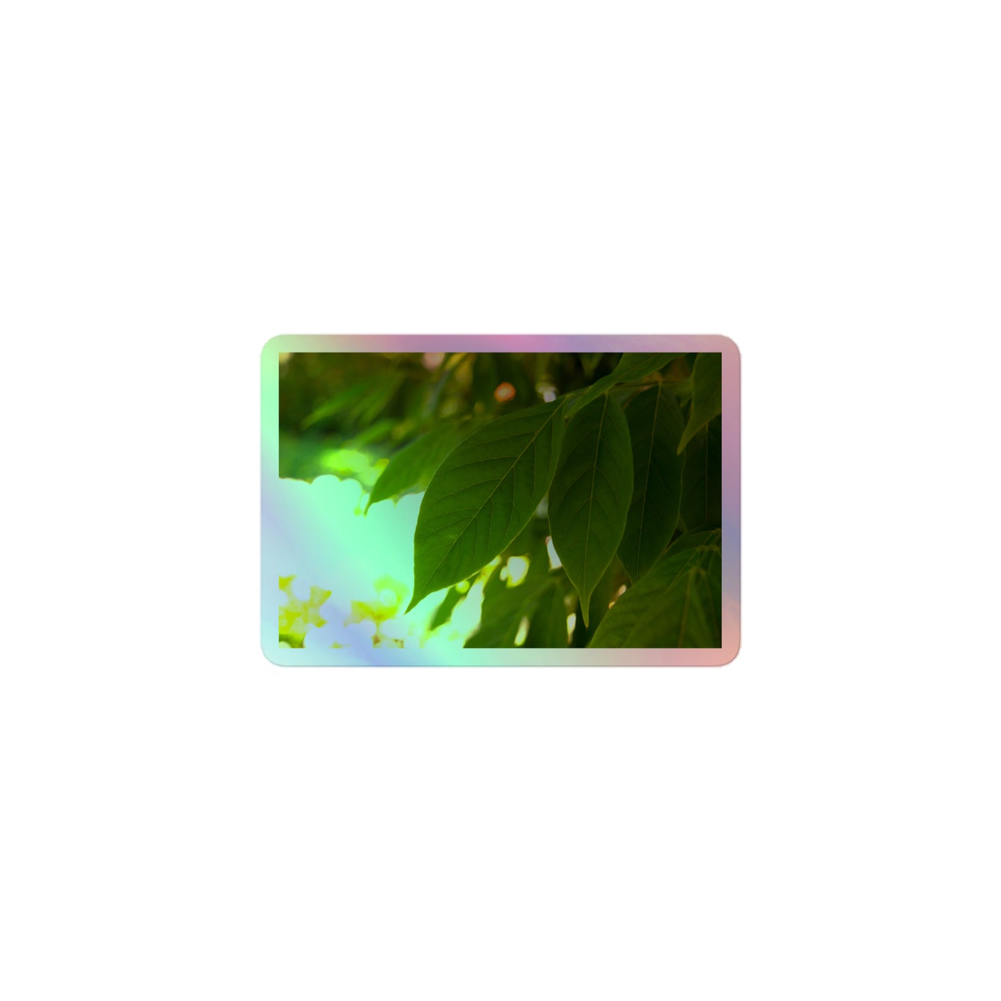 A small rectangular holographic sticker with an image of backlit green leaves with a blurred green and yellow background.