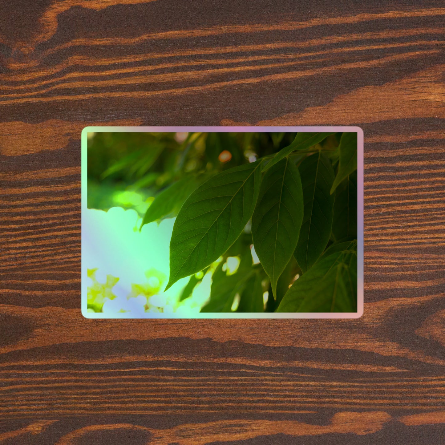 Lifestyle photo of a rectangular holographic sticker with an image of backlit green leaves with a blurred green and yellow background, placed on a brown wooden table surface.