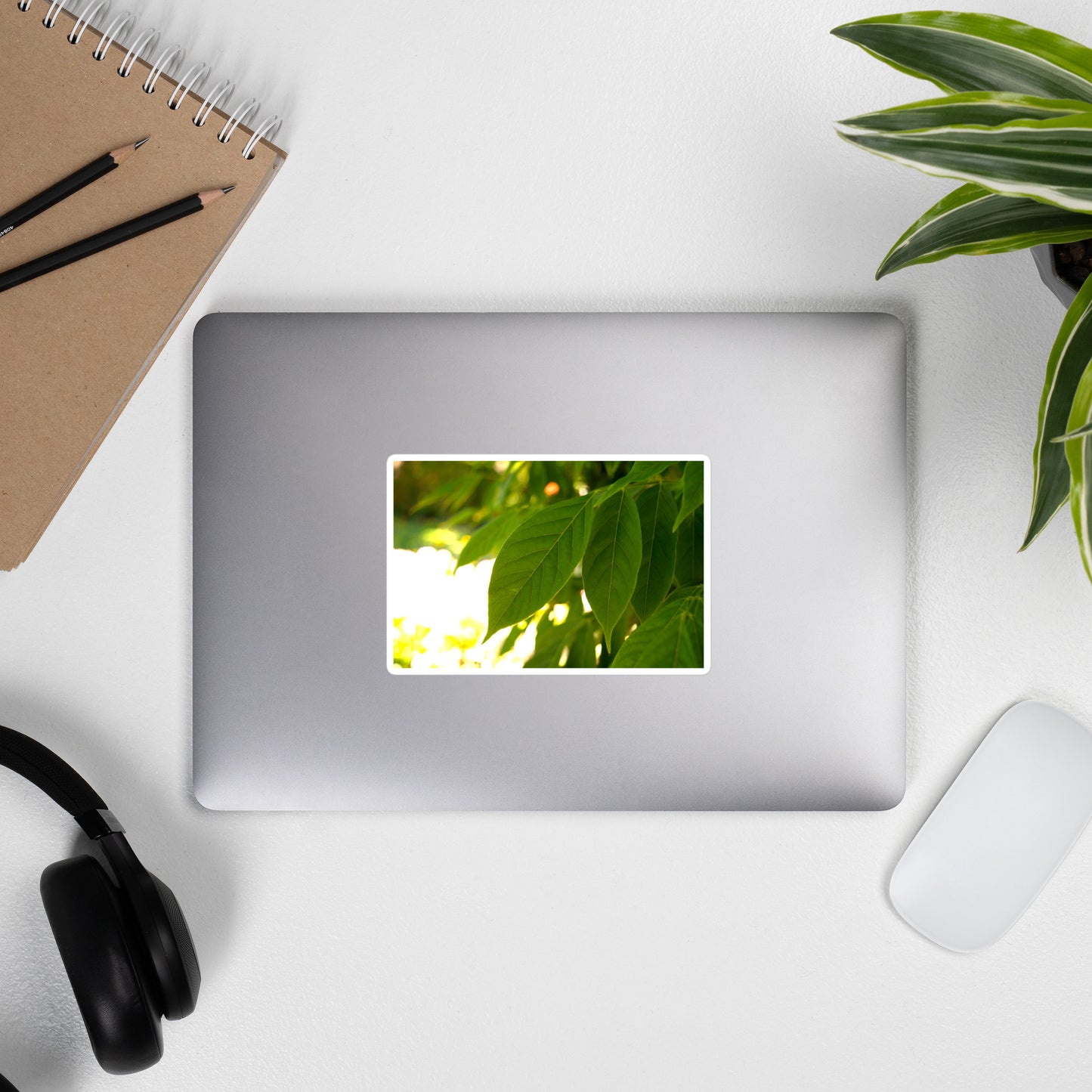 Lifestyle photo of a rectangular vinyl sticker with an image of backlit green leaves, placed on the outside of a laptop.