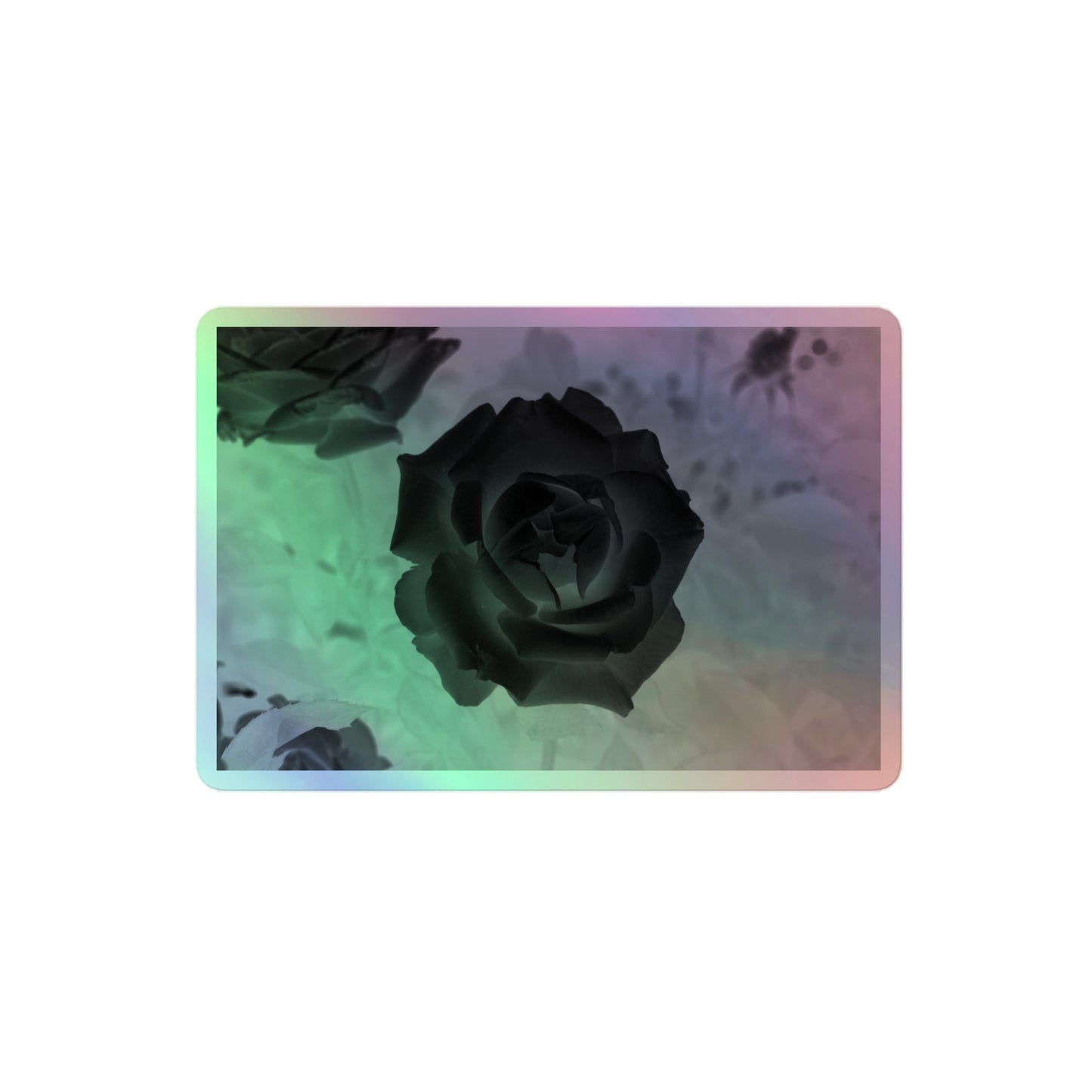 A medium rectangular holographic sticker with an image of a black x-ray rose design.