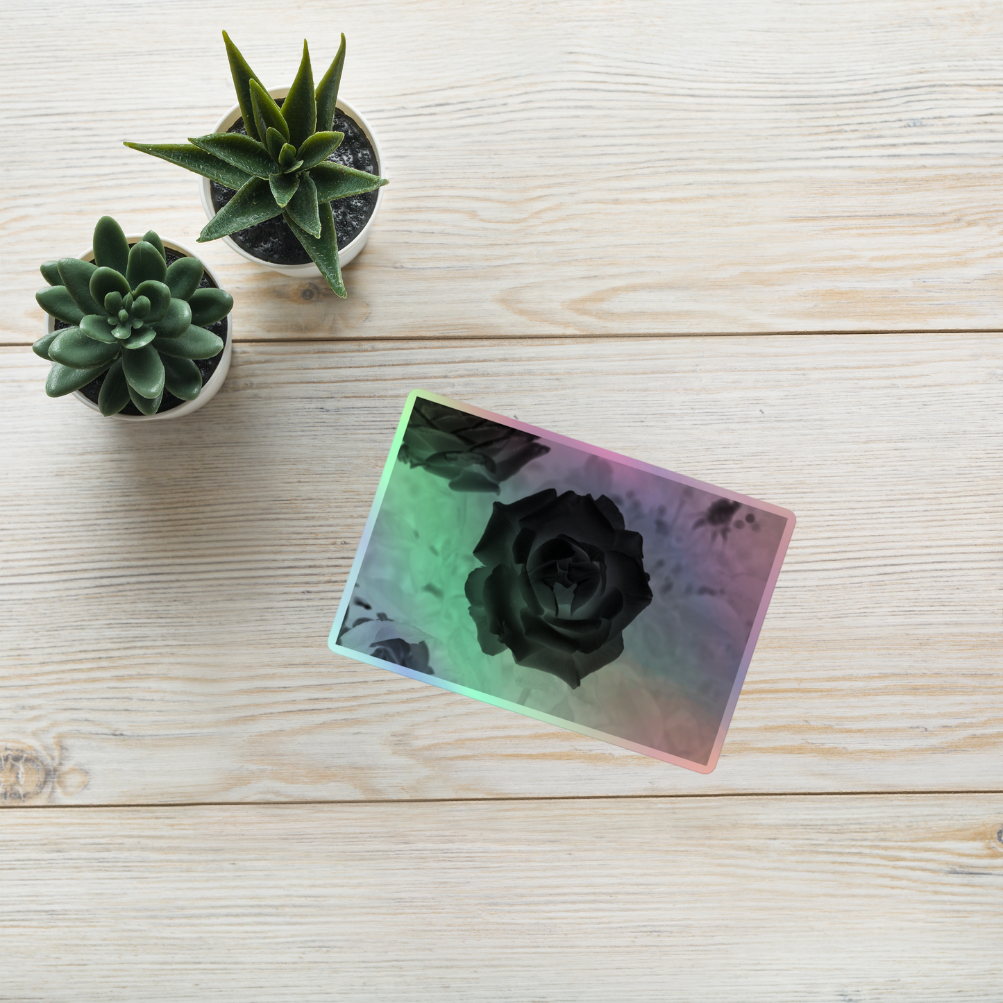 Lifestyle photo of a rectangular holographic sticker with an image of a black x-ray rose design, placed on a table with two small succulents.
