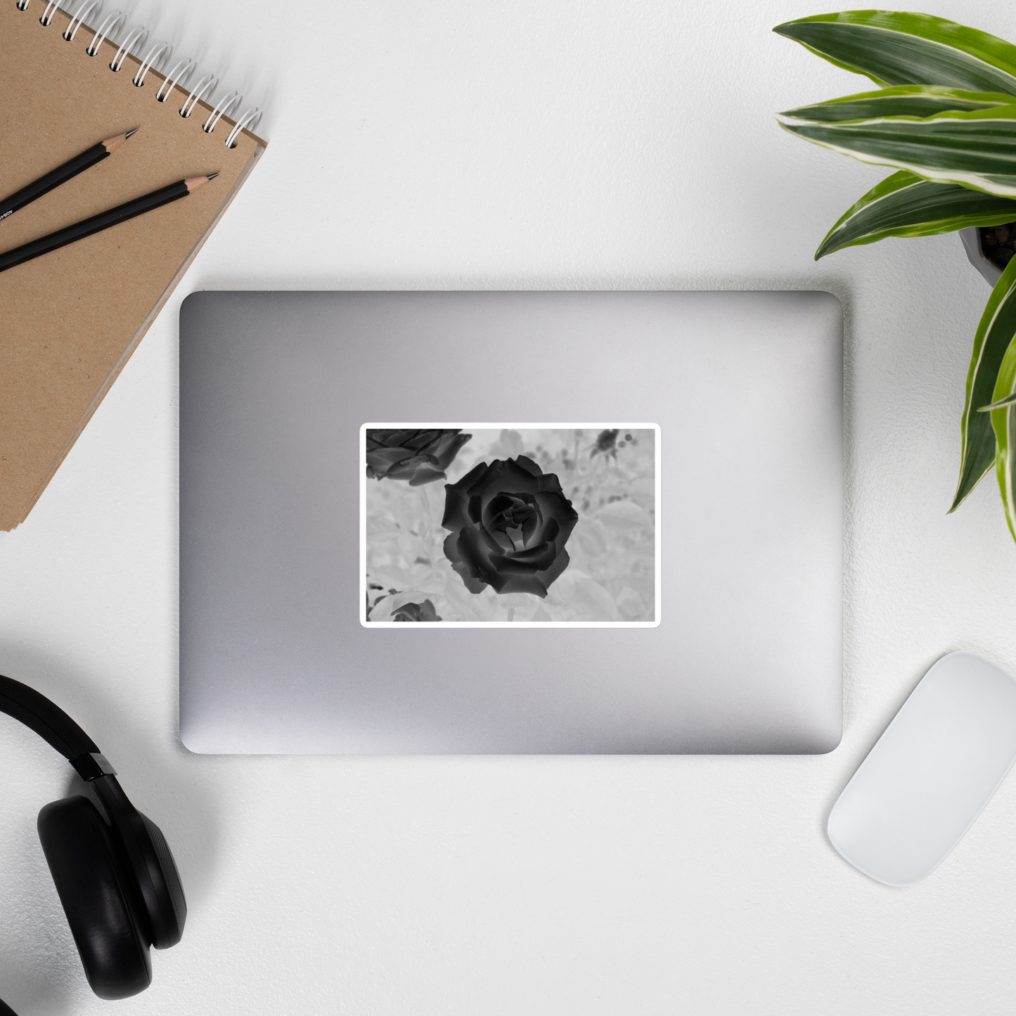 Lifestyle photo of a rectangular vinyl sticker with an image of a black x-ray rose design, placed on the outside of a laptop.