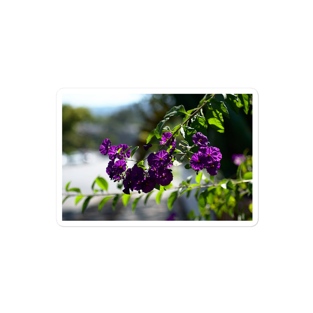 A medium rectangular vinyl sticker with an image of purple flower blooms in a tree.