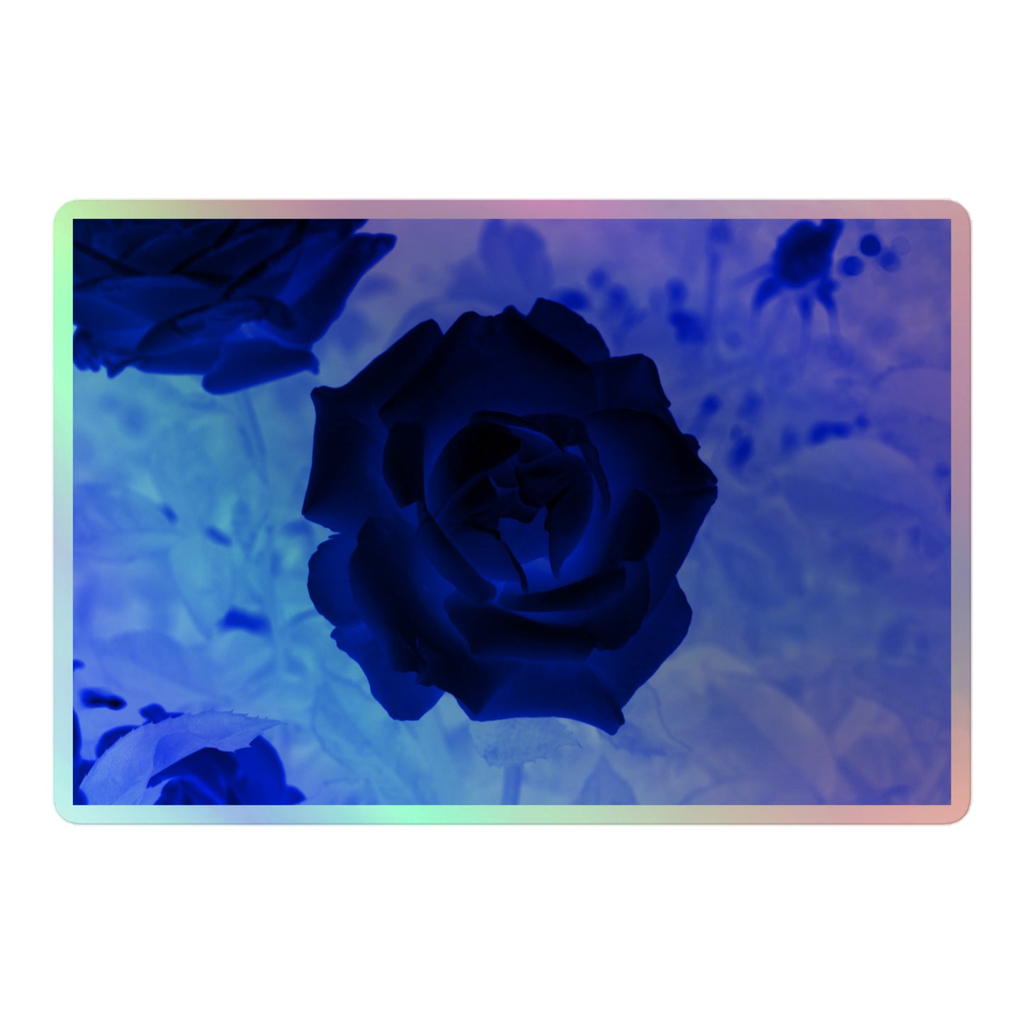 A large rectangular holographic sticker with an image of a blue x-ray rose design.
