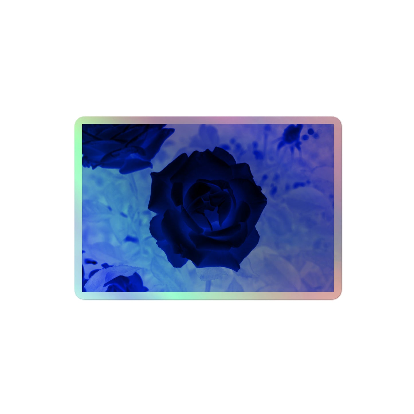A medium rectangular holographic sticker with an image of a blue x-ray rose design.