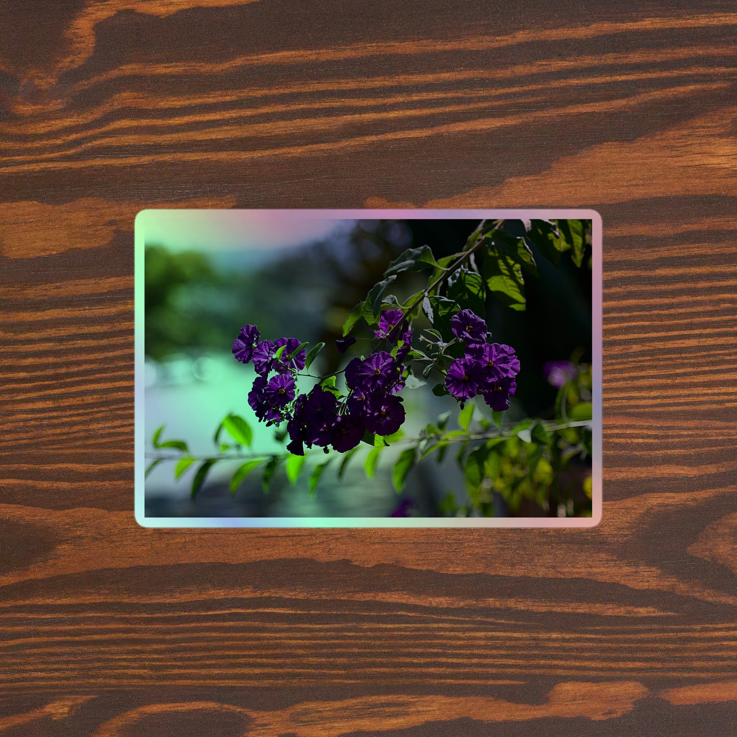 Lifestyle photo of a rectangular holographic sticker with an image of purple flowers on a tree branch, placed on a brown wooden table surface.