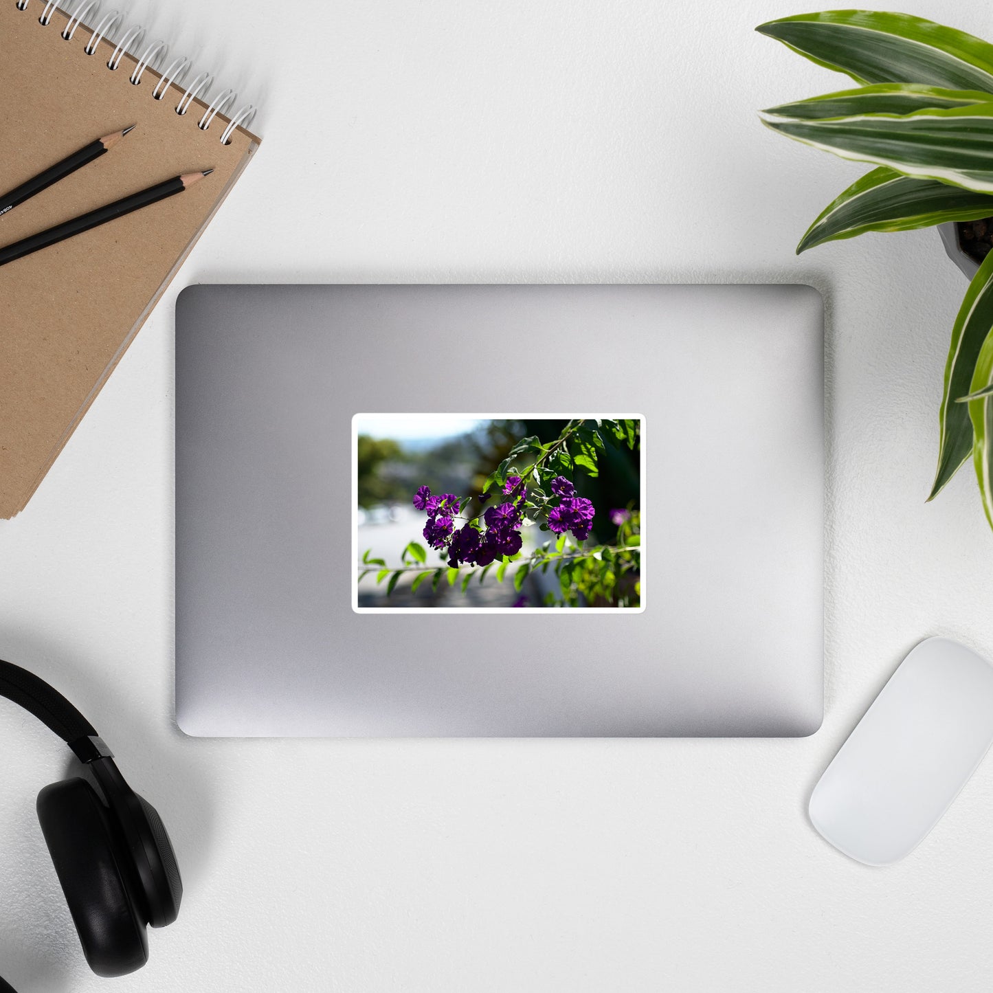 Lifestyle photo of a rectangular vinyl sticker with an image of purple flower blooms in a tree, placed on the outside of a laptop.