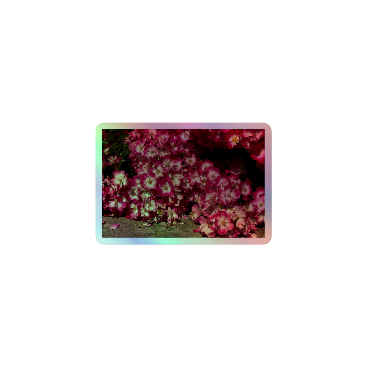A small rectangular holographic sticker with an image of many pink flowers with white centers.