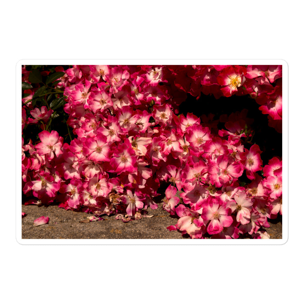 A large rectangular vinyl sticker with an image of many small pink flowers with white centers.