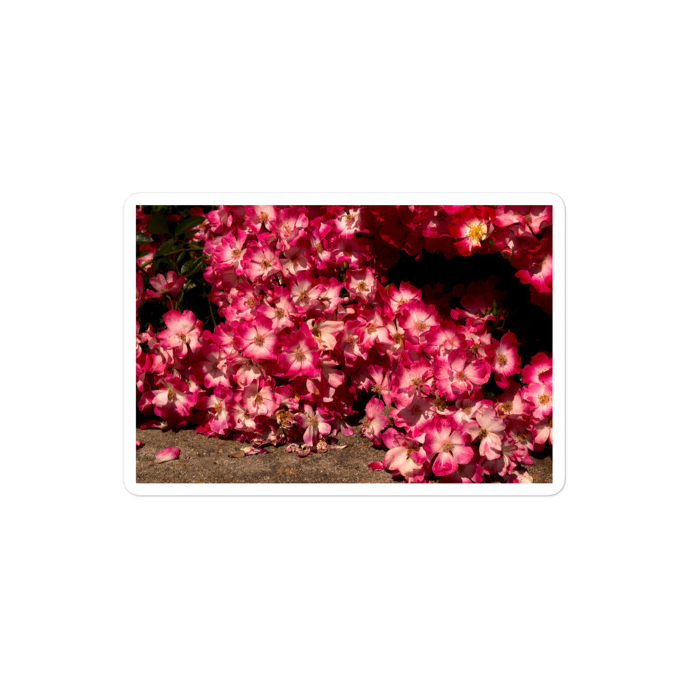 A medium rectangular vinyl sticker with an image of many small pink flowers with white centers.