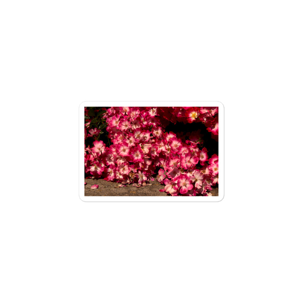 A small rectangular vinyl sticker with an image of many small pink flowers with white centers.