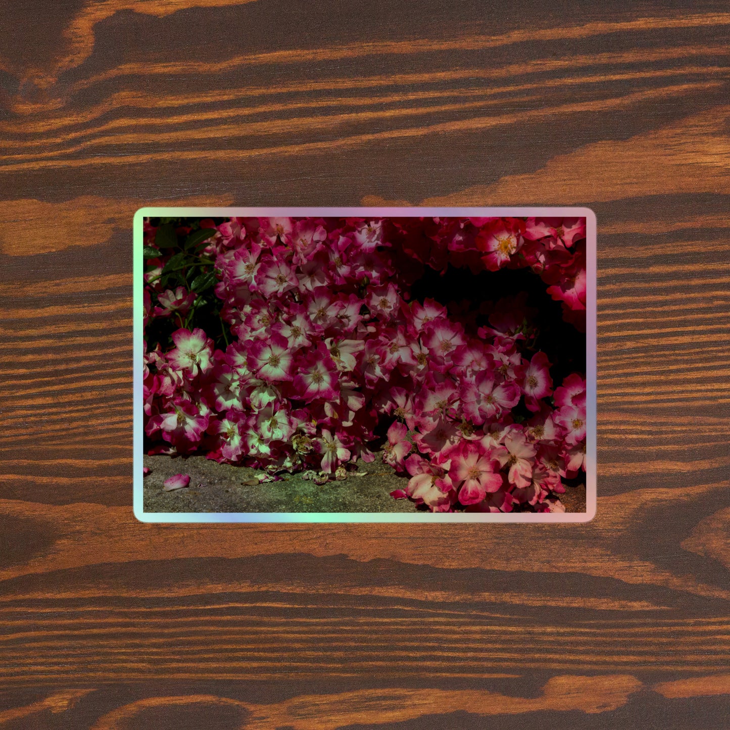 Lifestyle photo of a rectangular holographic sticker with an image of many pink flowers with white centers, placed on a brown wooden table surface.