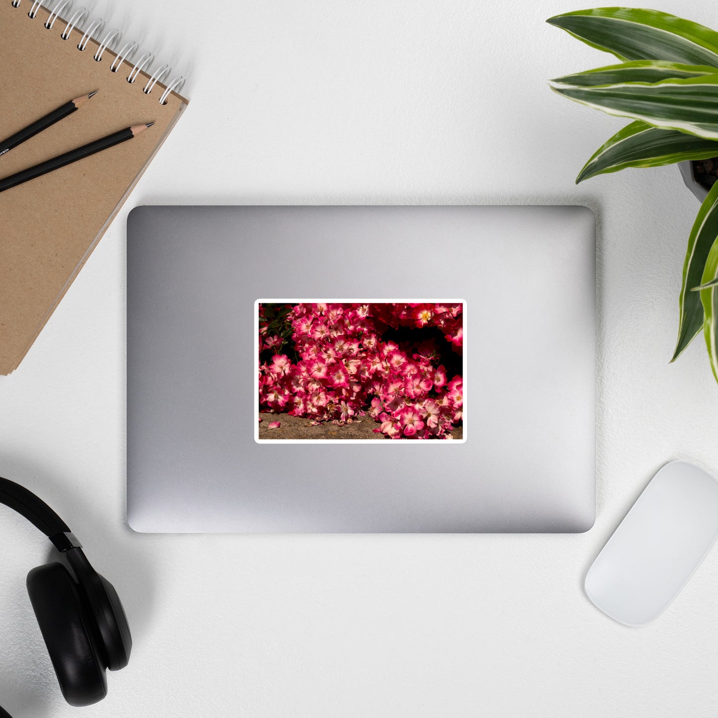 Lifestyle photo of a rectangular vinyl sticker with an image of many small pink flowers with white centers, placed on the outside of a laptop.