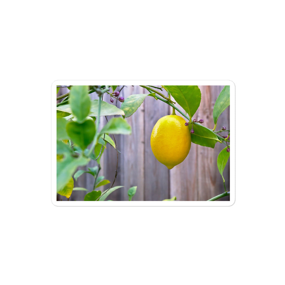 A medium rectangular vinyl sticker with an image of a bright yellow lemon budding branches.