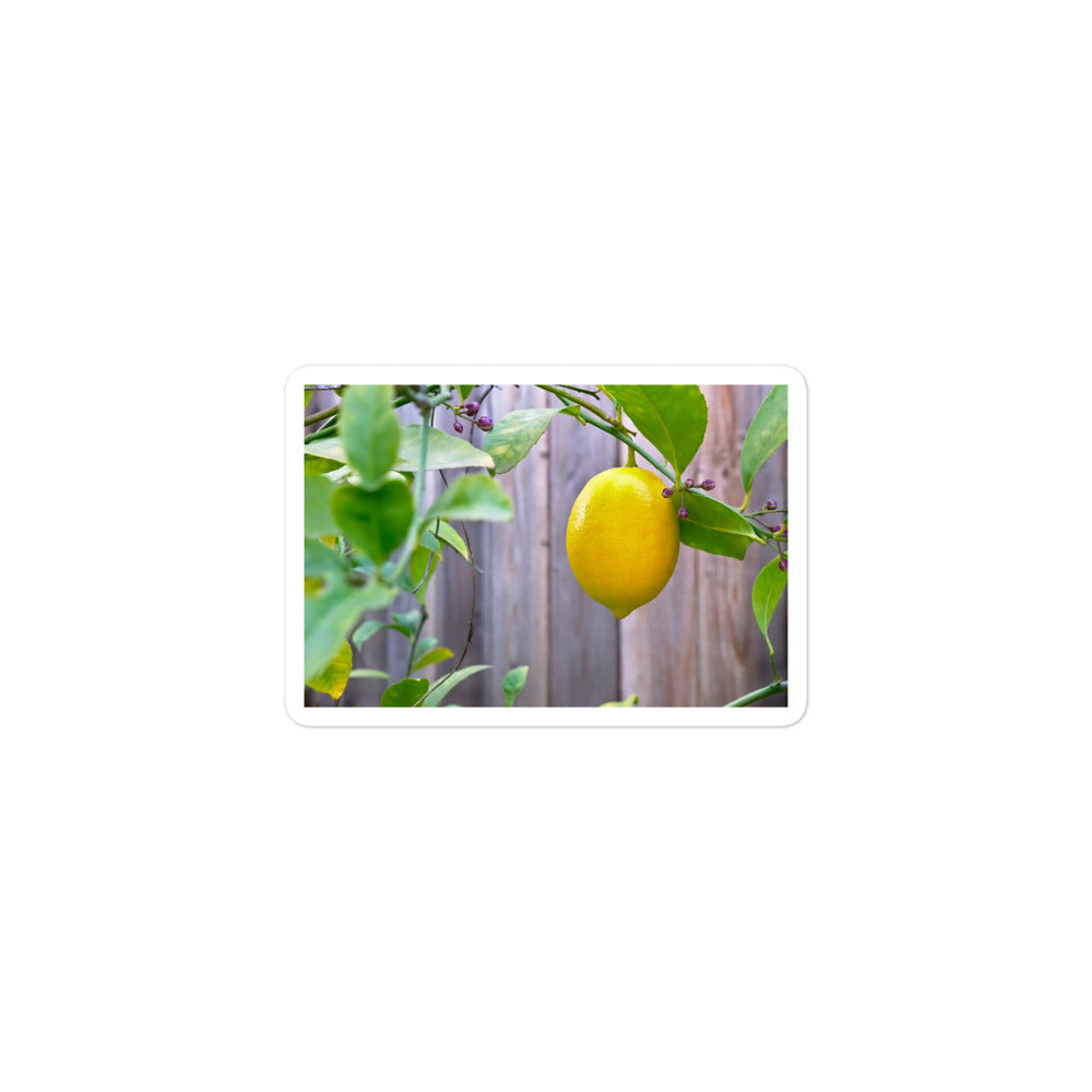 A small rectangular vinyl sticker with an image of a bright yellow lemon budding branches.