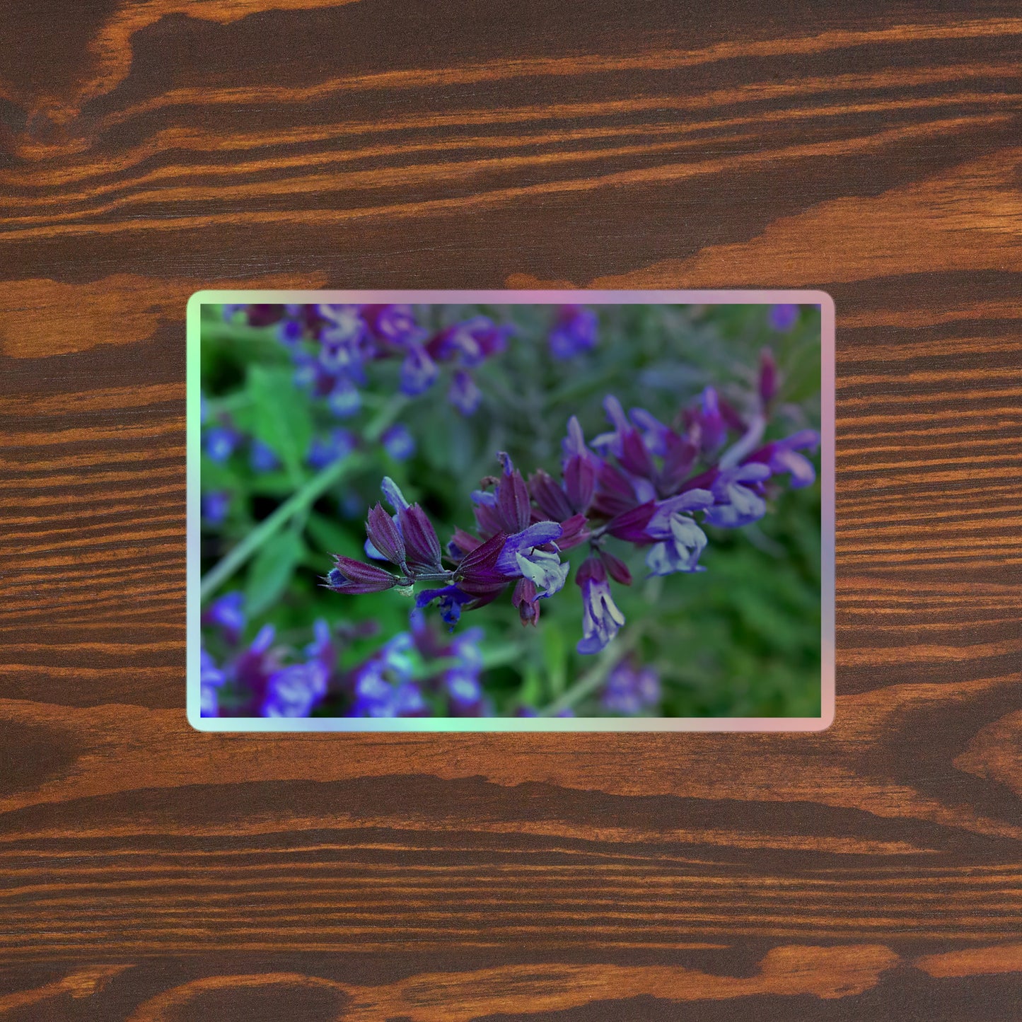 Lifestyle photo of a rectangular holographic sticker with a close-up image of bright green purple sage with green leaves, placed on a brown wooden table surface.