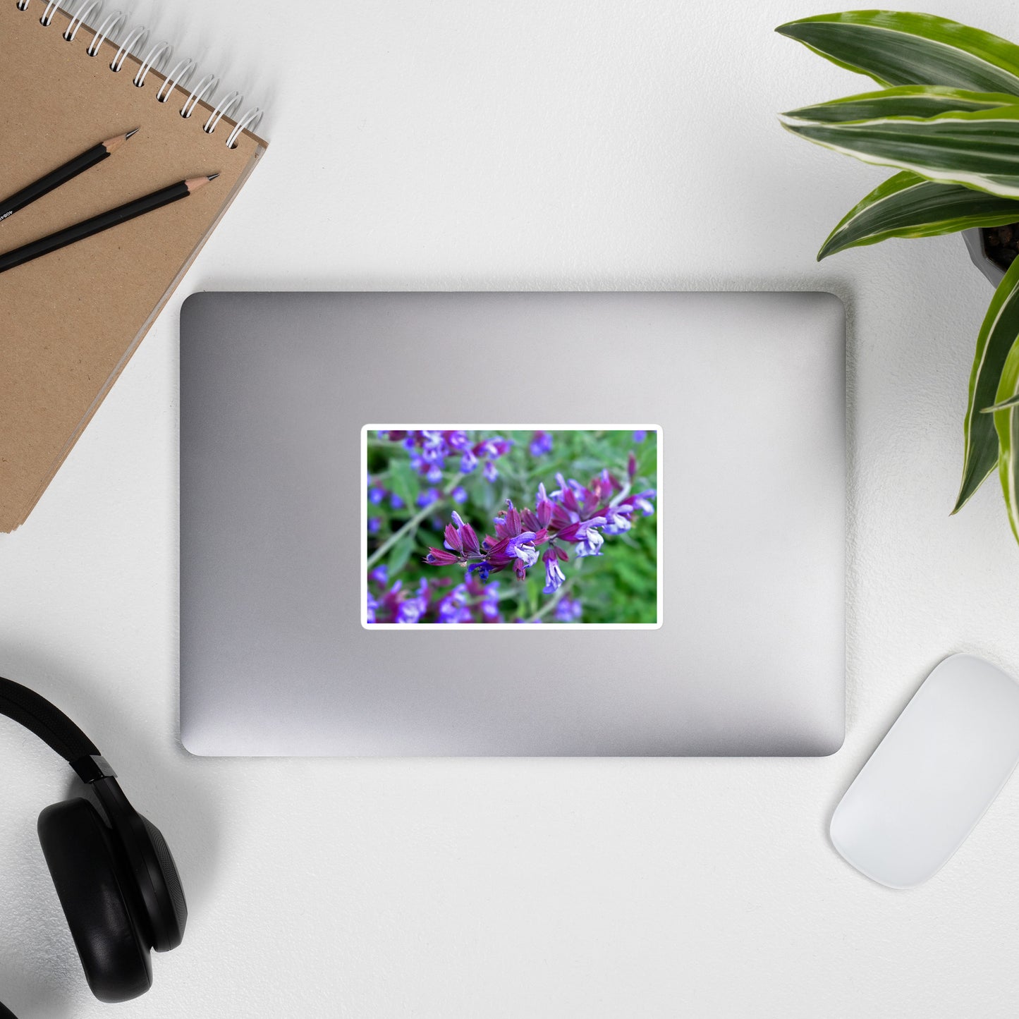Lifestyle photo of a rectangular vinyl sticker with a close-up image of purple sage, placed on the outside of a laptop.