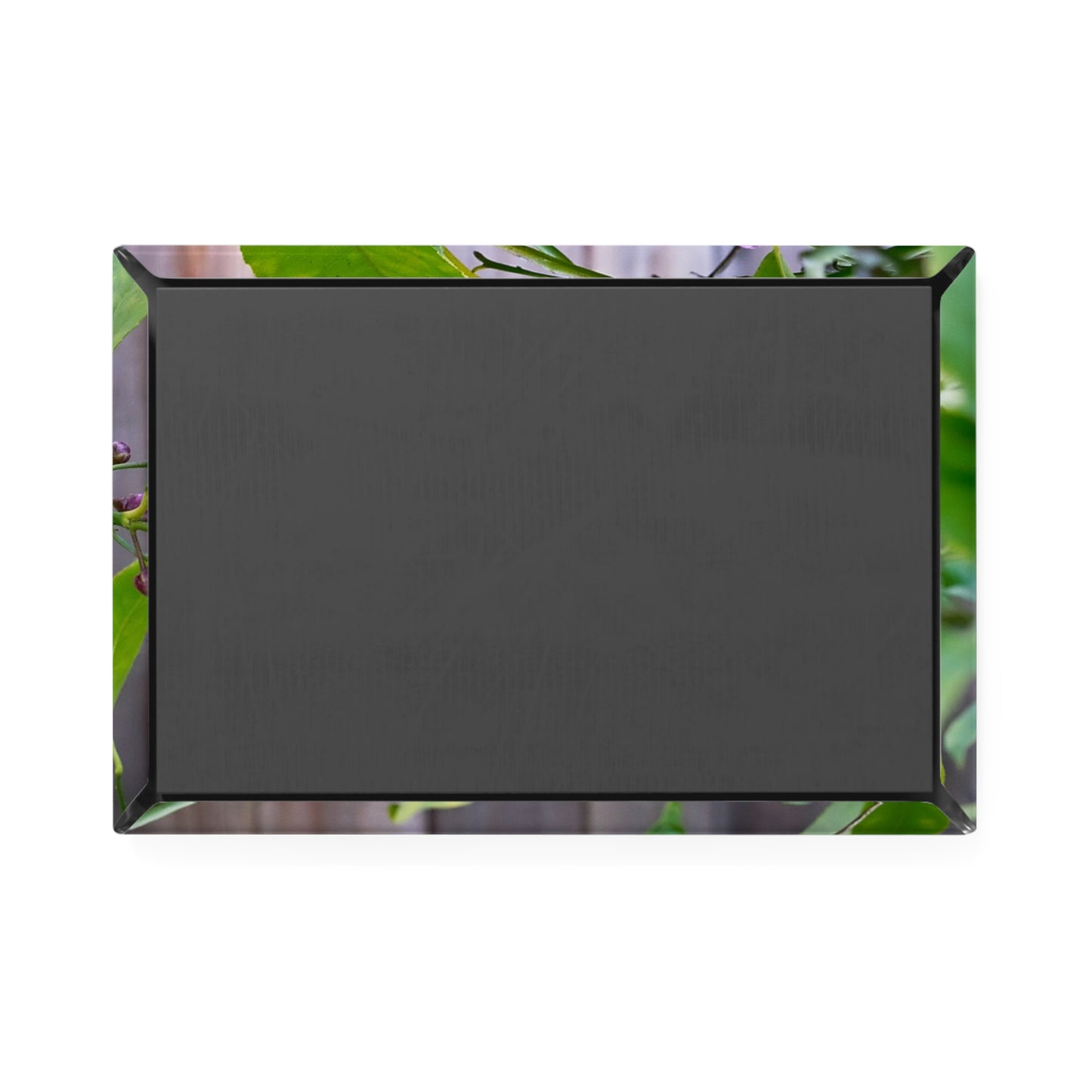 Back view of a rectangular button magnet.