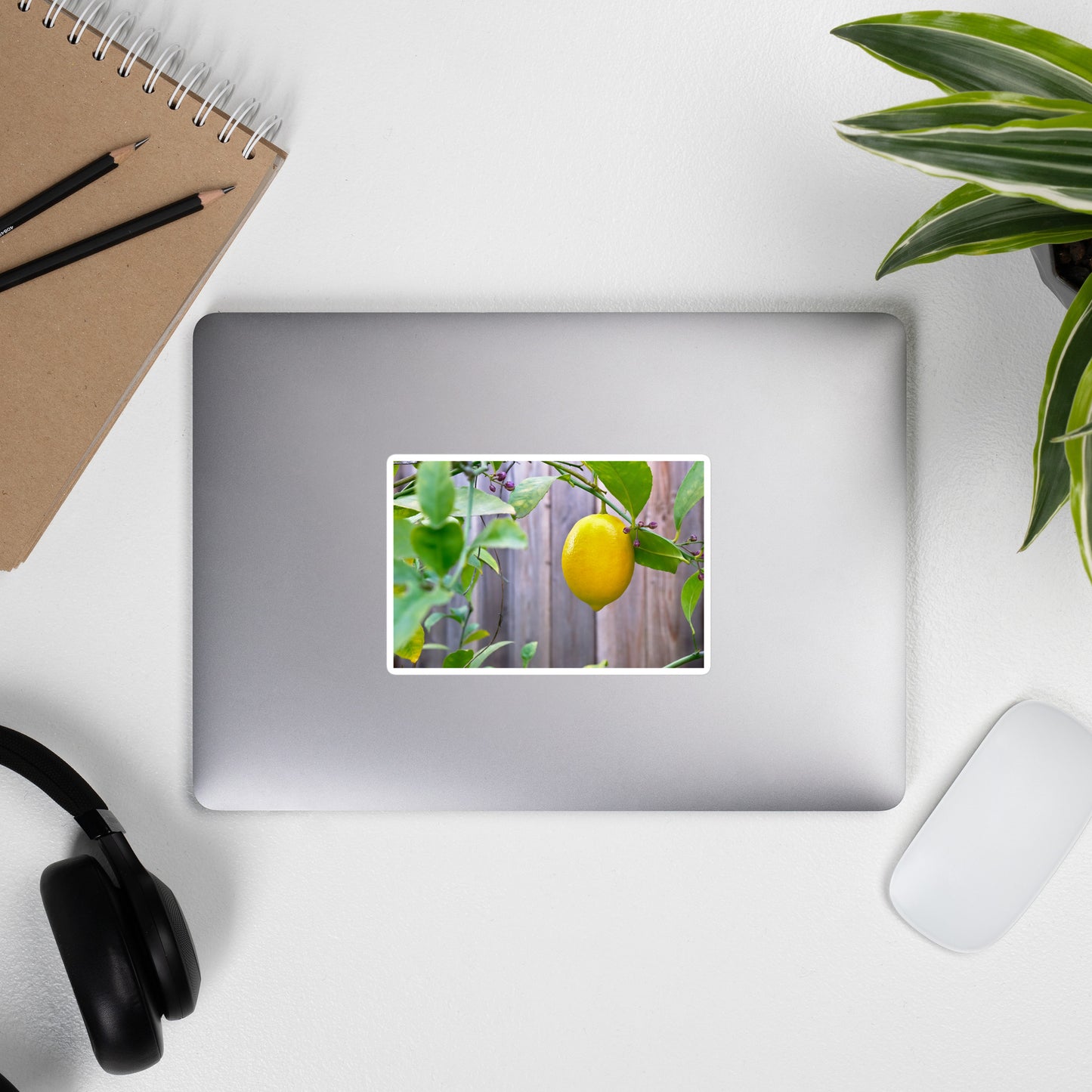 Lifestyle photo of a rectangular vinyl sticker with an image of a bright yellow lemon budding branches, placed on the outside of a laptop.
