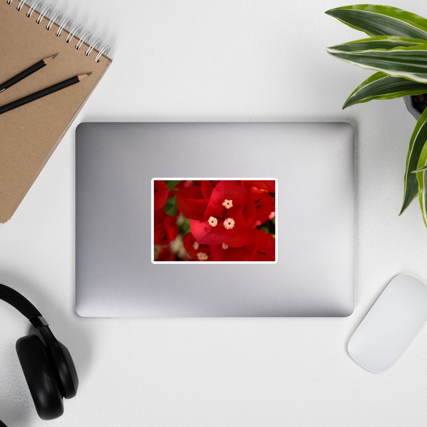 Lifestyle photo of a rectangular vinyl sticker with a close-up image of a red bougainvillea bloom, placed on the outside of a laptop.