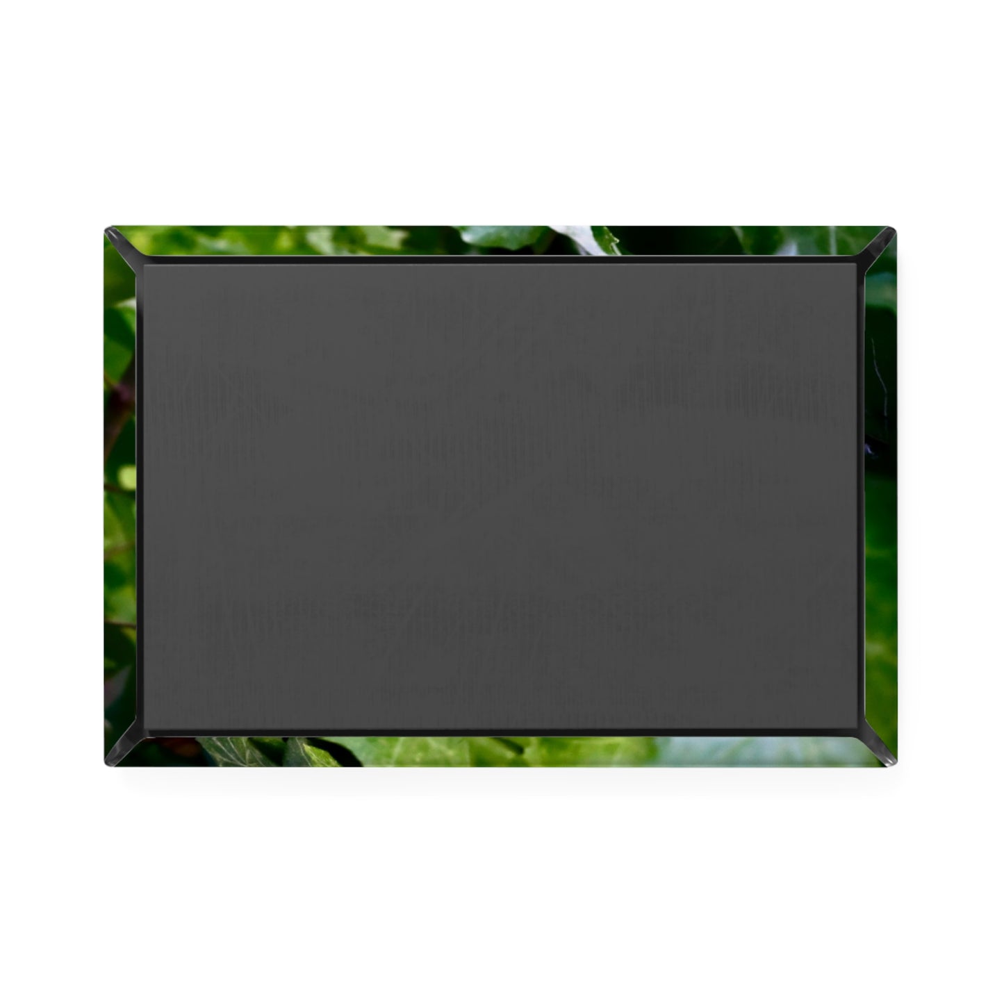 Back view of a rectangular button magnet.