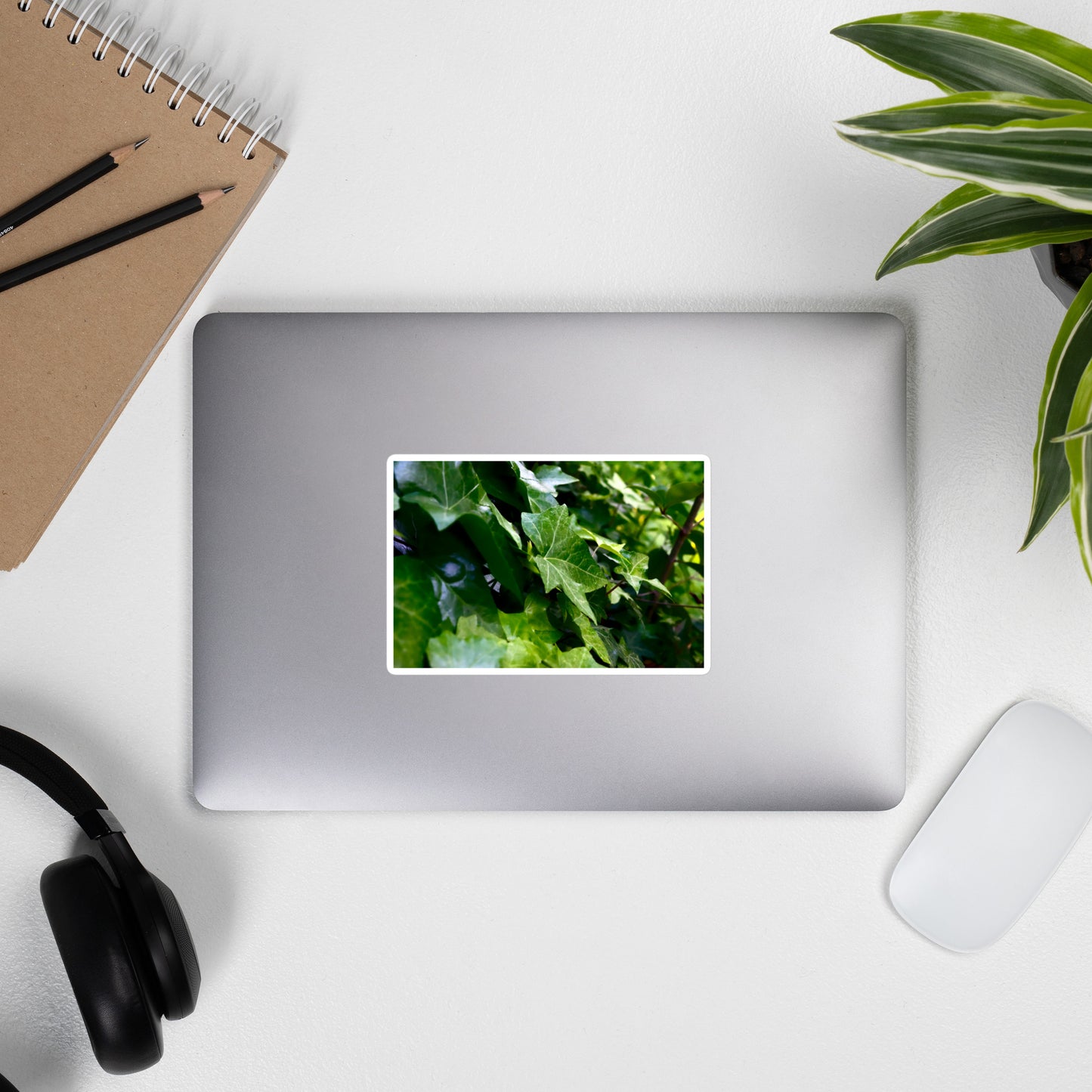 Lifestyle photo of a rectangular vinyl sticker with an image of dark green ivy leaves, placed on the outside of a laptop.
