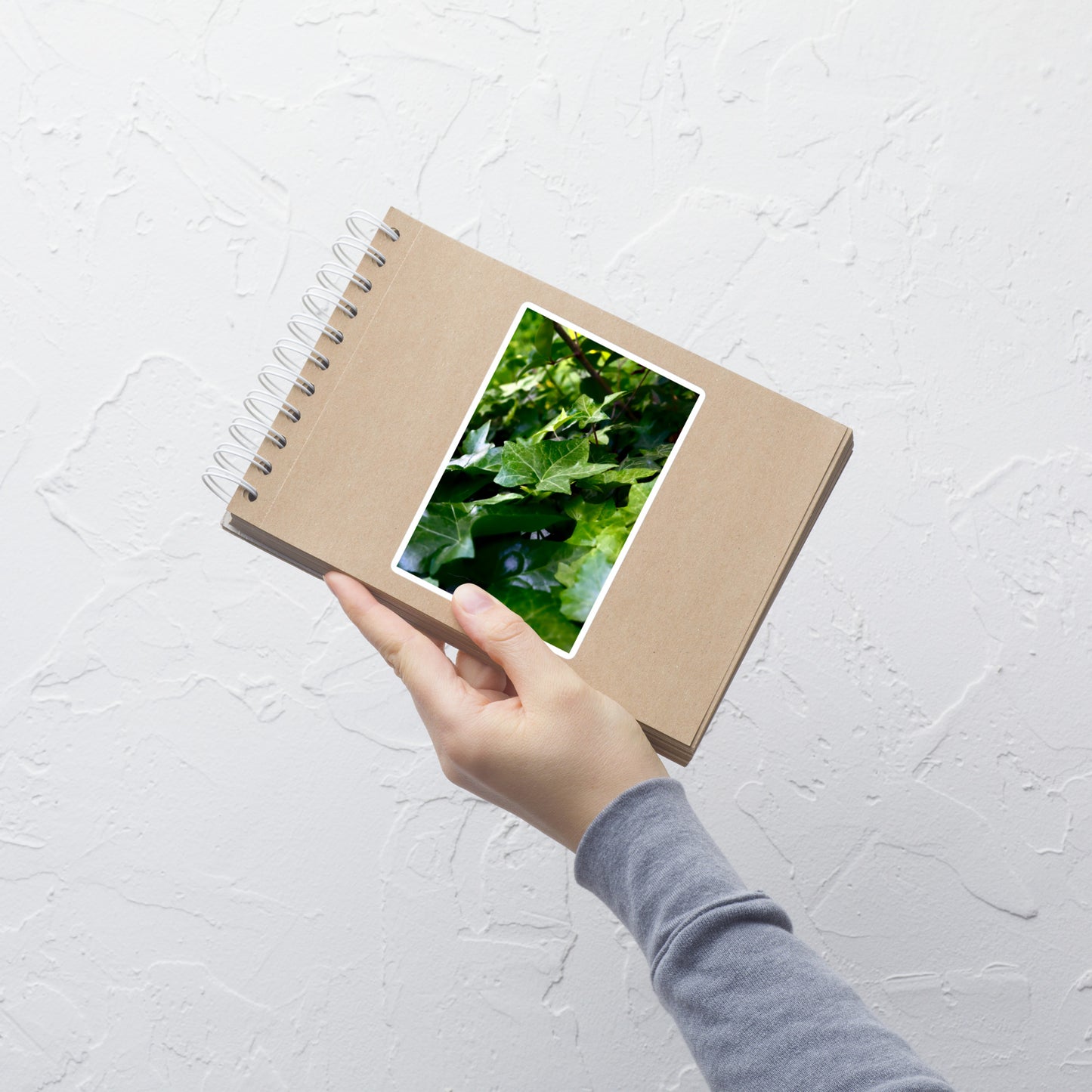 Lifestyle photo of a rectangular vinyl sticker with an image of dark green ivy leaves, placed on a small notepad.