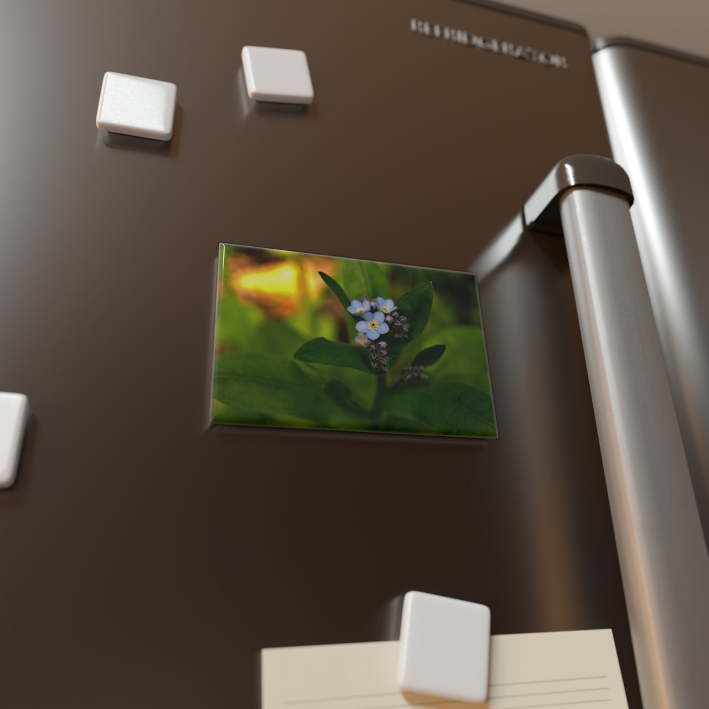 Lifestyle photo of a rectangular button magnet with a softly lit close-up image of a blue forget-me-not flower, placed on a fridge.