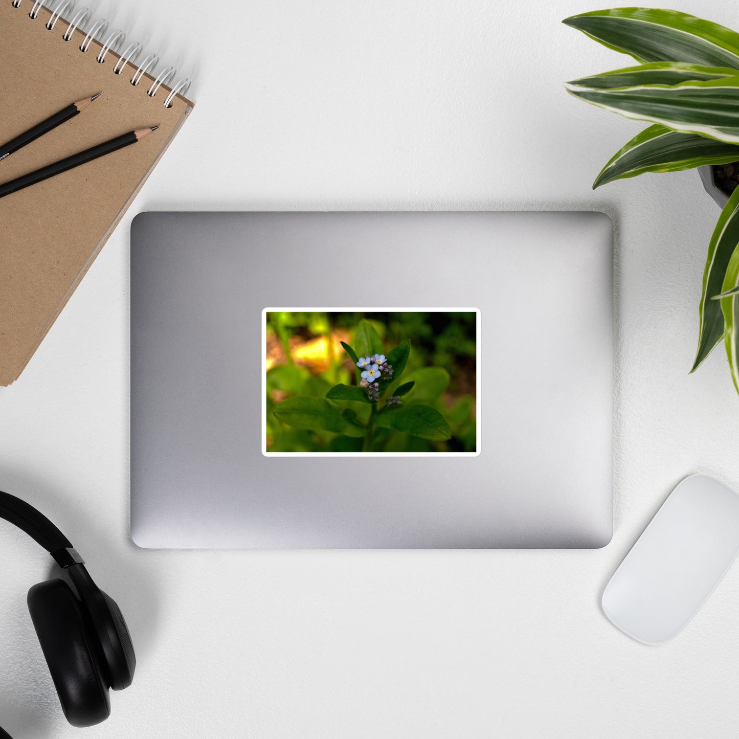 Lifestyle photo of a rectangular vinyl sticker with an image of a light blue forget-me-not cluster, placed on the outside of a laptop.