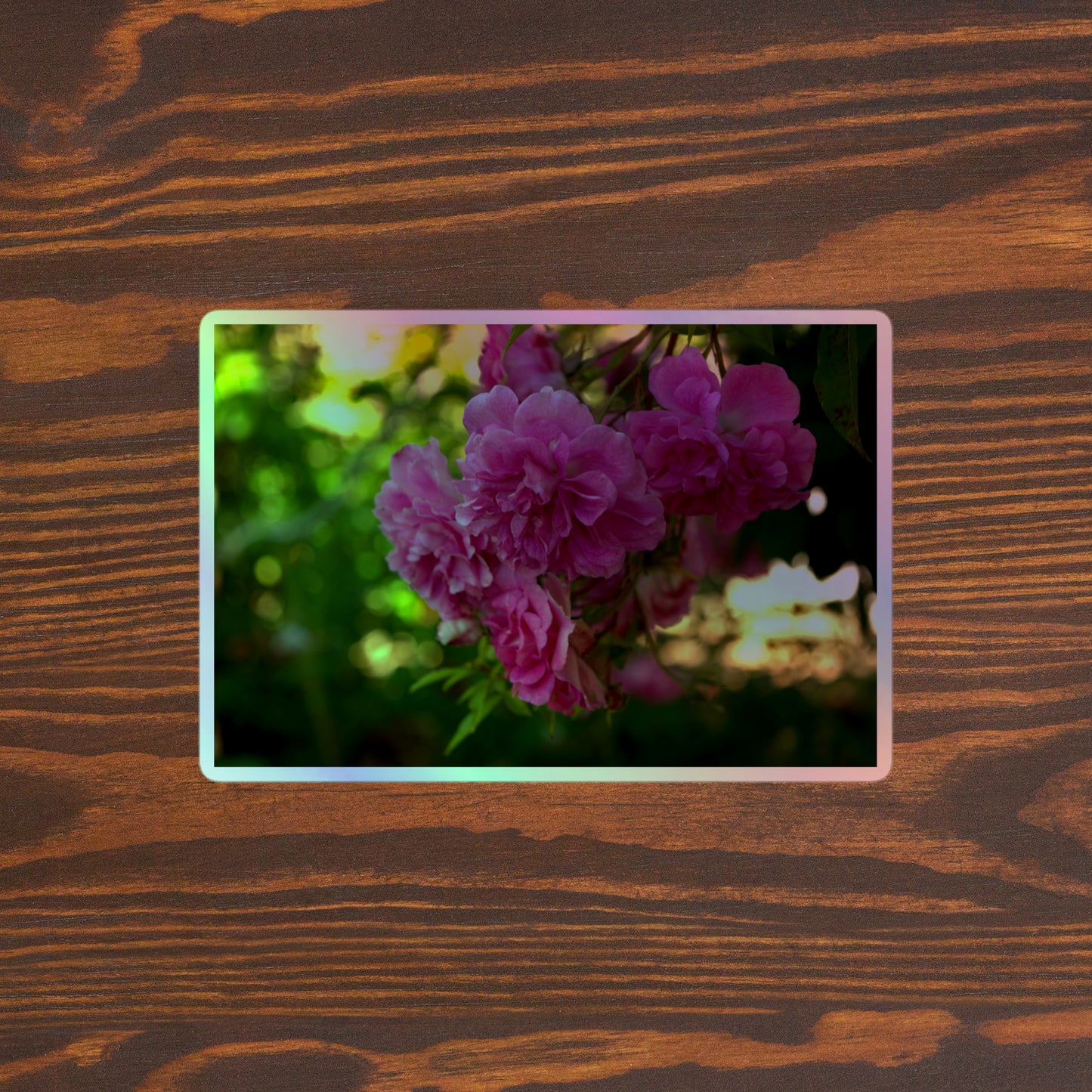 Lifestyle photo of a rectangular holographic sticker with an image of pink rose blooms in a garden, placed on a brown wooden table surface.