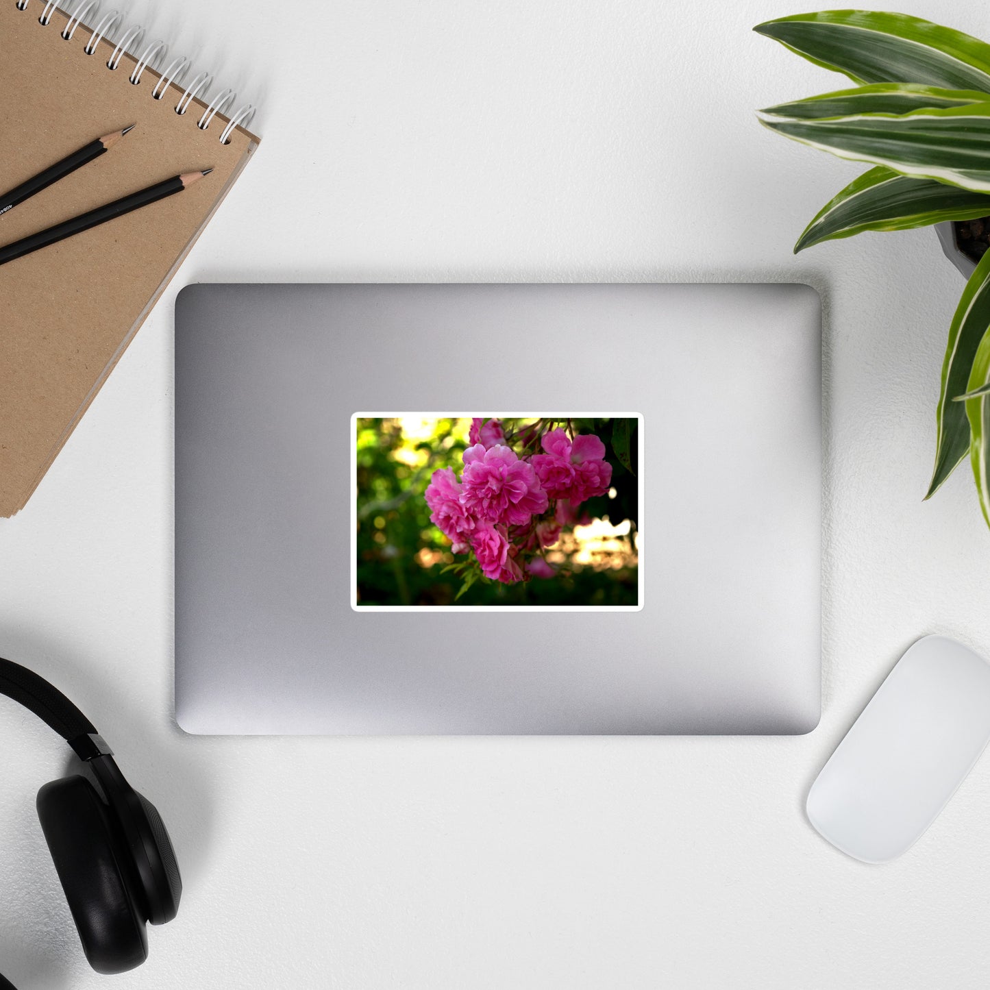 Lifestyle photo of a rectangular vinyl sticker with an image of bright pink roses in a garden, placed on the outside of a laptop.
