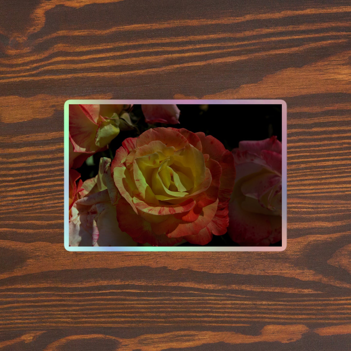 Lifestyle photo of a rectangular holographic sticker with a close-up image of pink, yellow and white roses, placed on a brown wooden table surface.