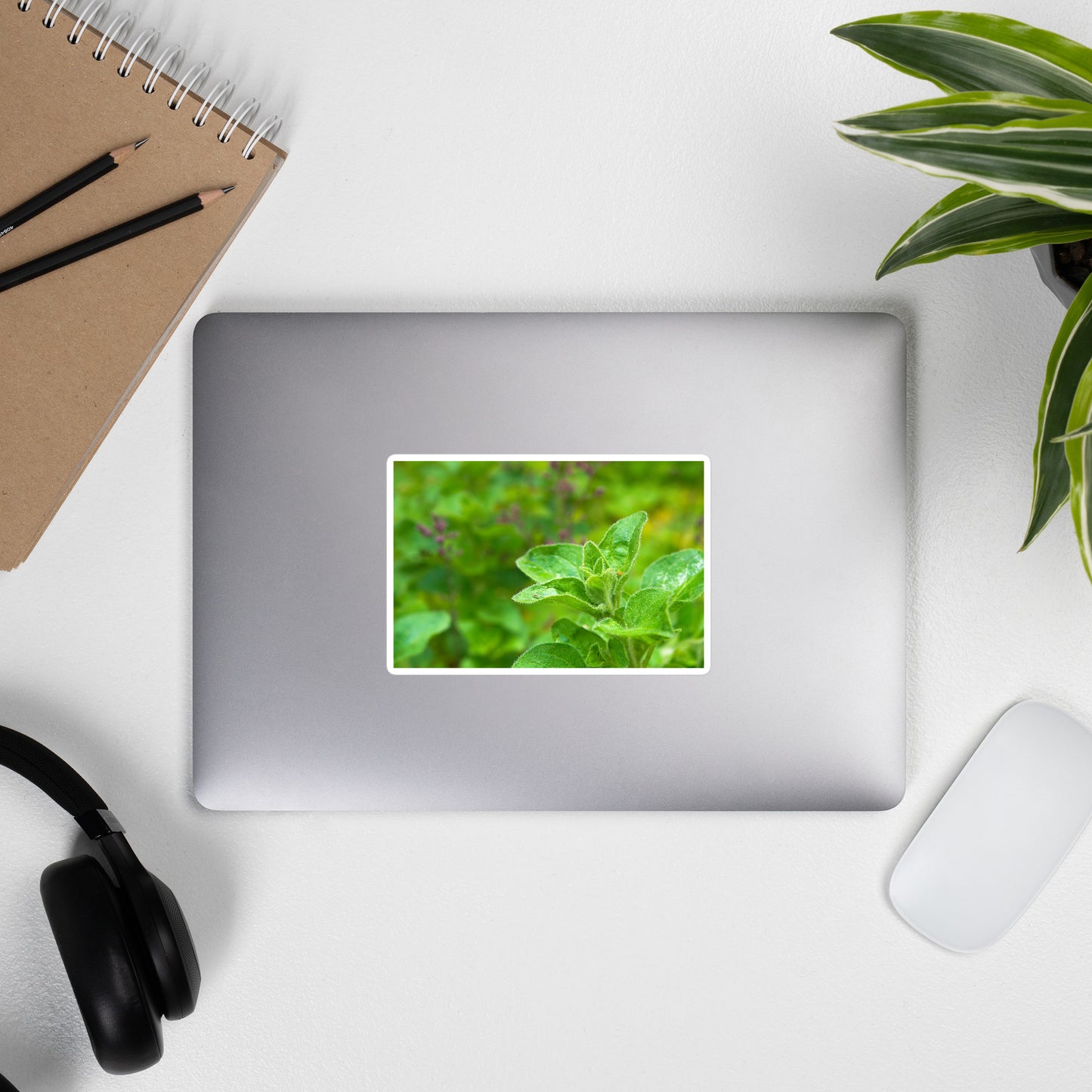 Lifestyle photo of a rectangular vinyl sticker with an image of an oregano sprig in an herb garden, placed on the outside of a laptop.
