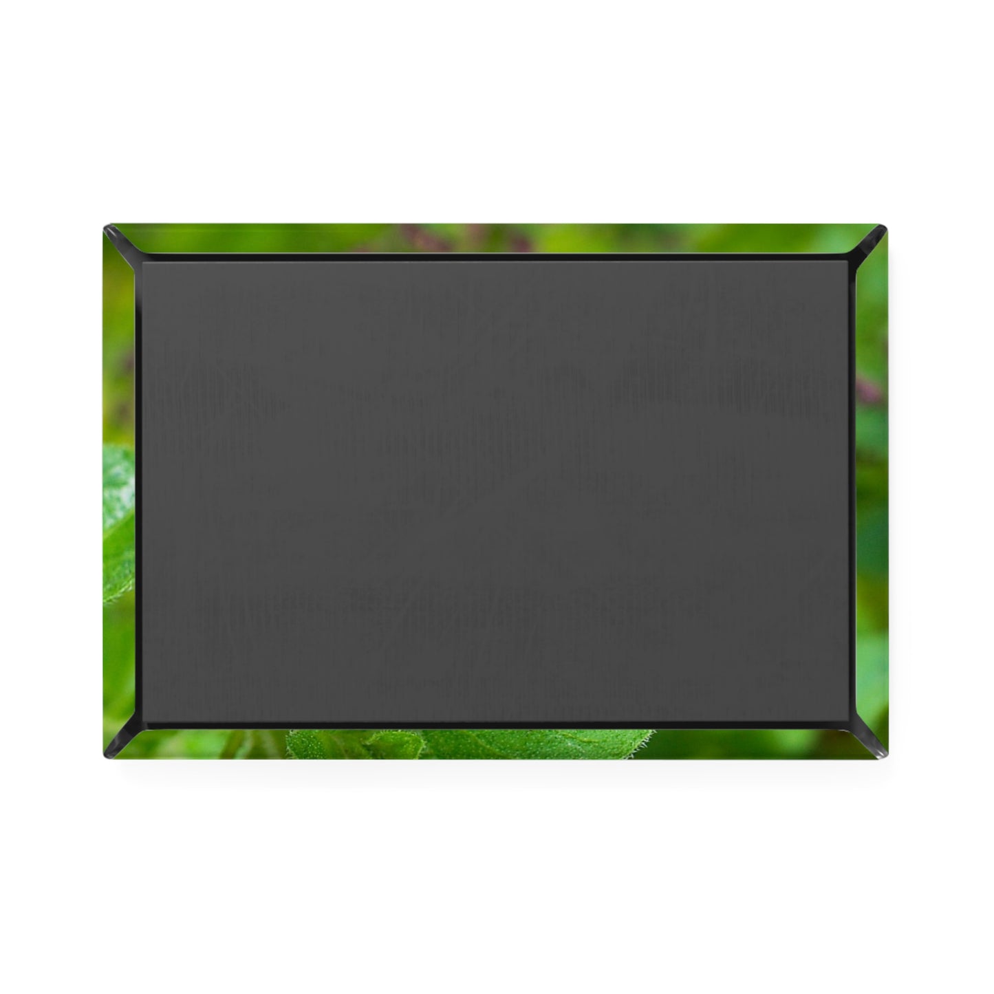 Back view of a rectangular button magnet.