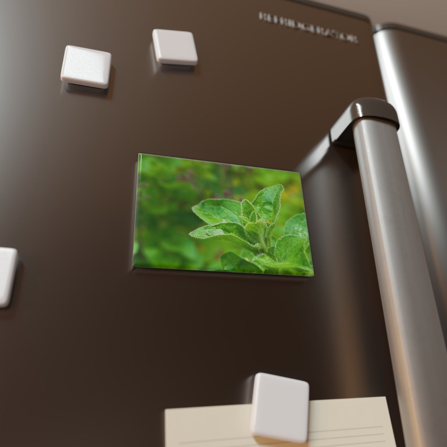 Lifestyle photo of a rectangular button magnet with a close-up image of fresh oregano sprigs, placed on a fridge.