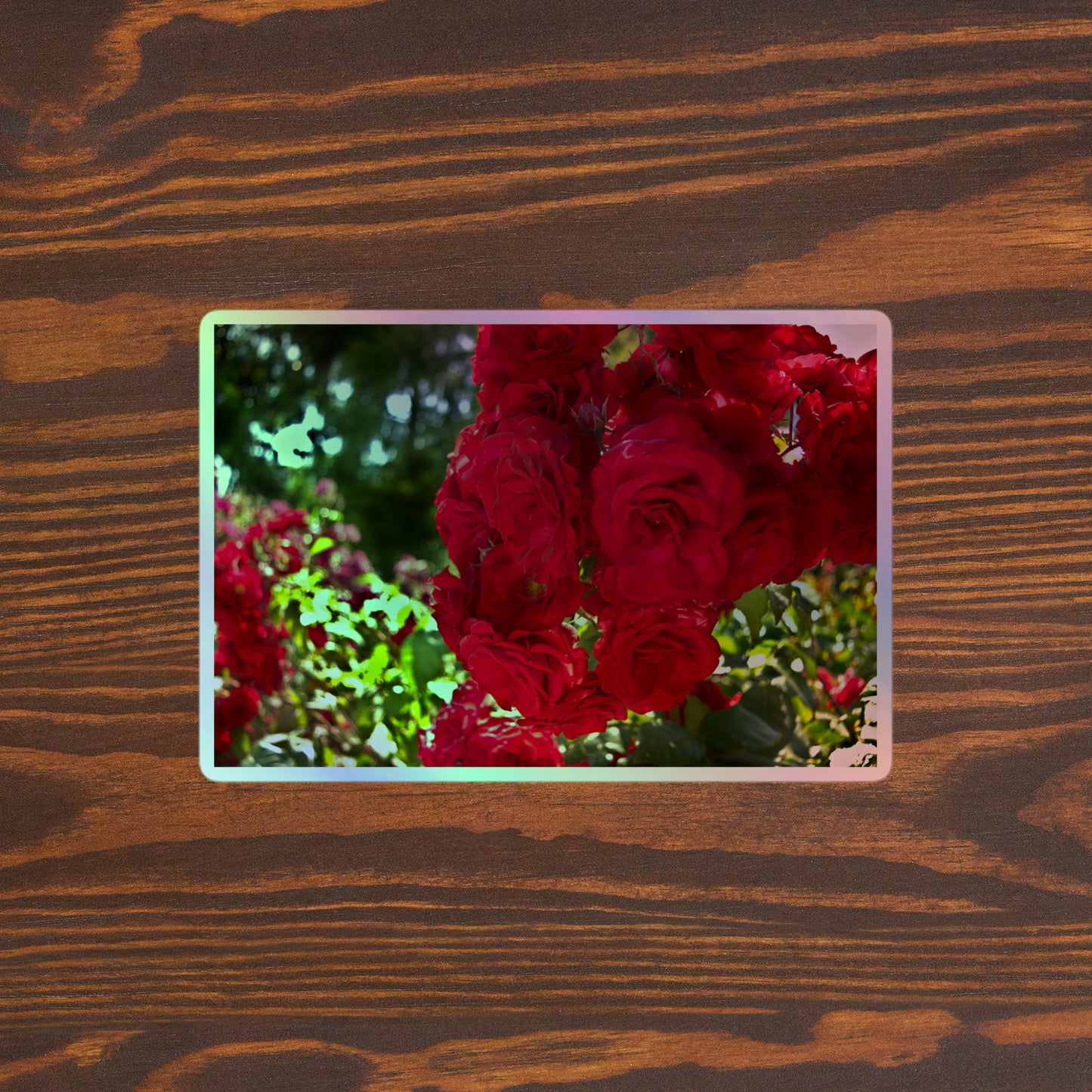 Lifestyle photo of a rectangular holographic sticker with an image of a cluster of vivid red roses, placed on a brown wooden table surface.