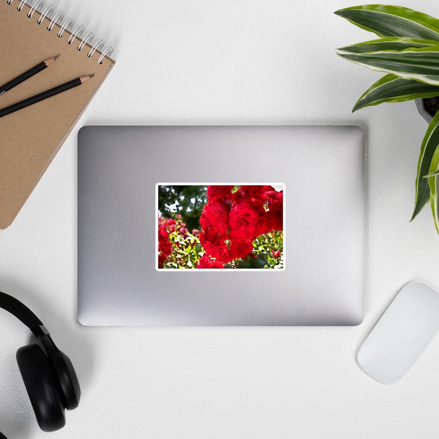 Lifestyle photo of a rectangular vinyl sticker with an image of bright red roses in a garden, placed on the outside of a laptop.