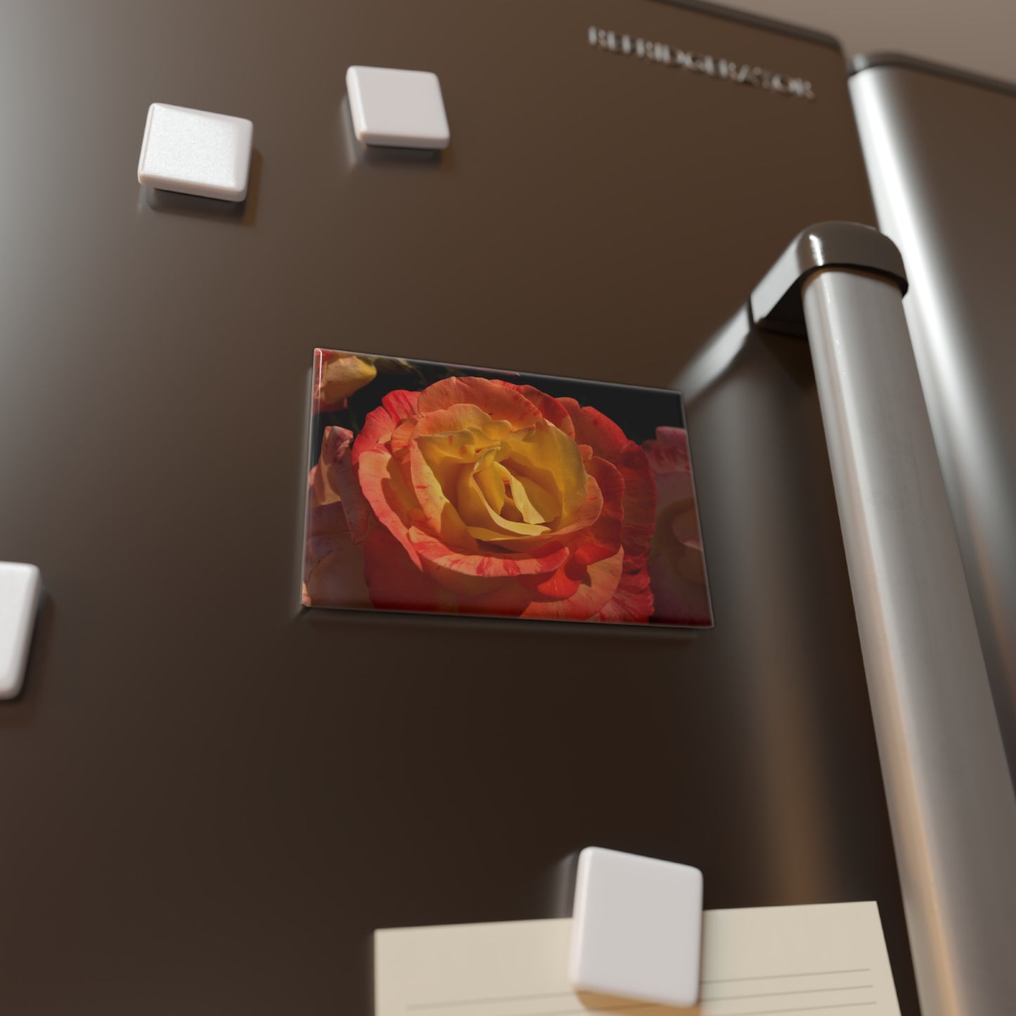 Lifestyle photo of a rectangular button magnet featuring a close-up of a warm sunset rose with vibrant petals, placed on a fridge.