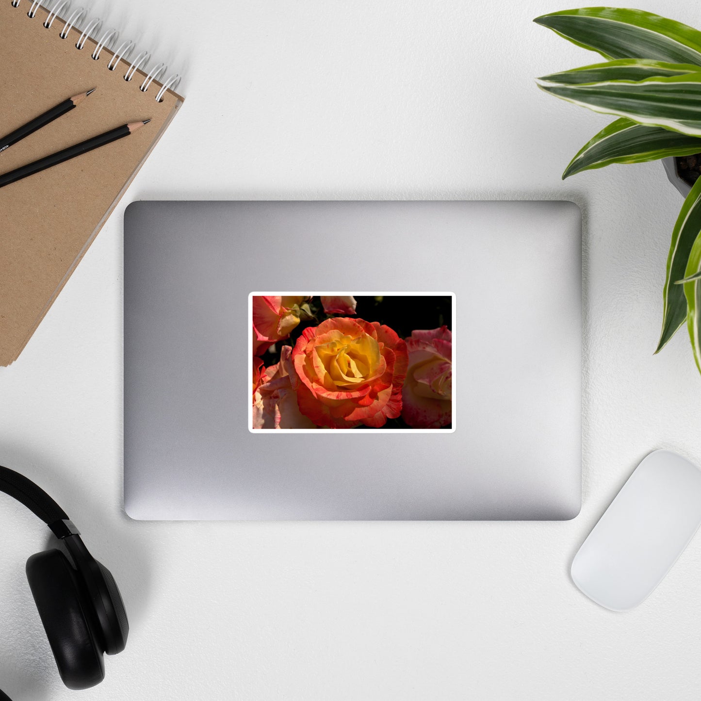 Lifestyle photo of a rectangular vinyl sticker with a close-up image of a pink and yellow rose bloom, placed on the outside of a laptop.