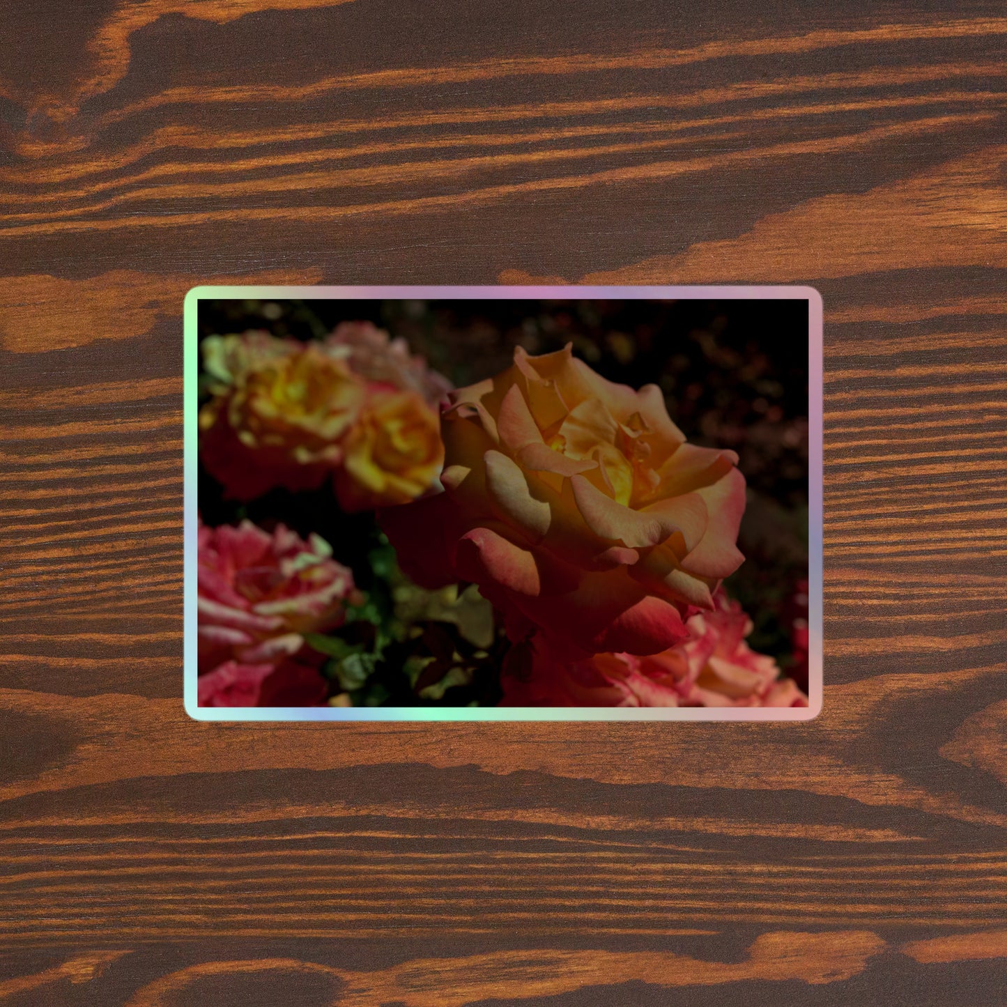 Lifestyle photo of a rectangular holographic sticker with an image of pink, orange and yellow roses in a garden, placed on a brown wooden table surface.