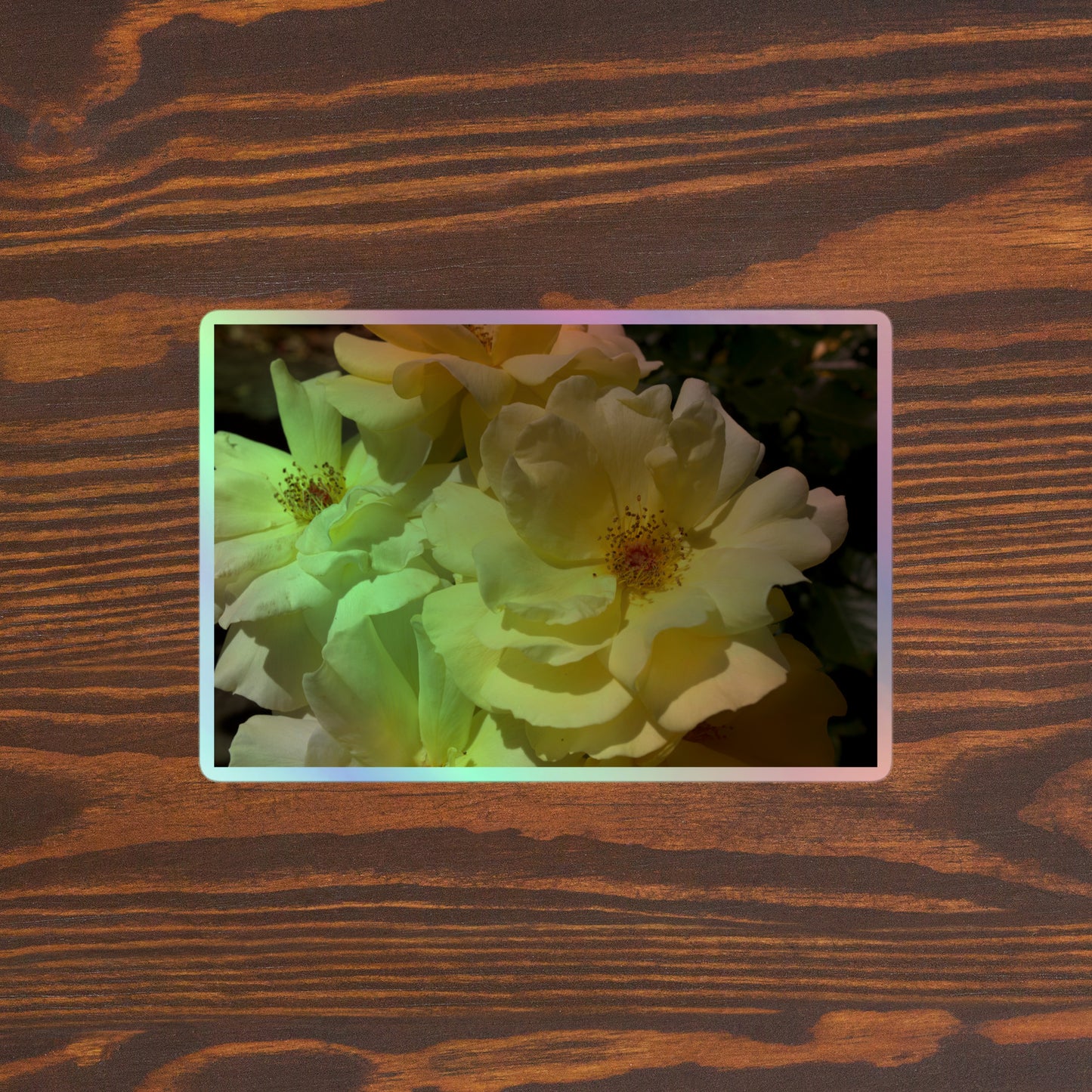 Lifestyle photo of a rectangular holographic sticker with an image of off-white rose blooms with visible stamen, placed on a brown wooden table surface.