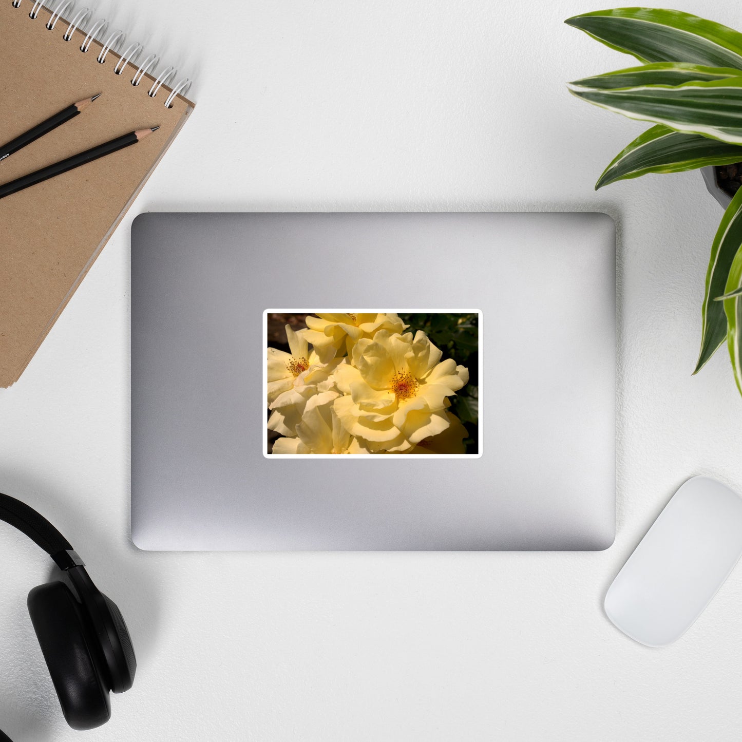 Lifestyle photo of a rectangular vinyl sticker with an image of pale yellow roses with visible stamen, placed on the outside of a laptop.