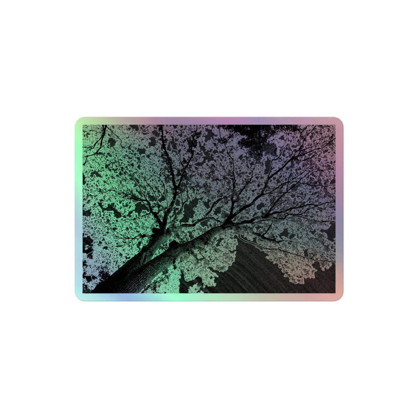 A medium rectangular holographic sticker with an image of a dark embossed tree lightning design.