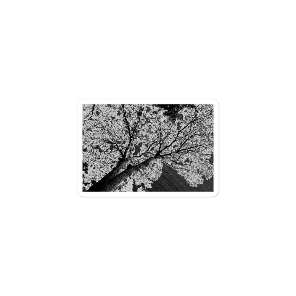 A small rectangular vinyl sticker with an image of an dark embossed tree design with lightning like features.