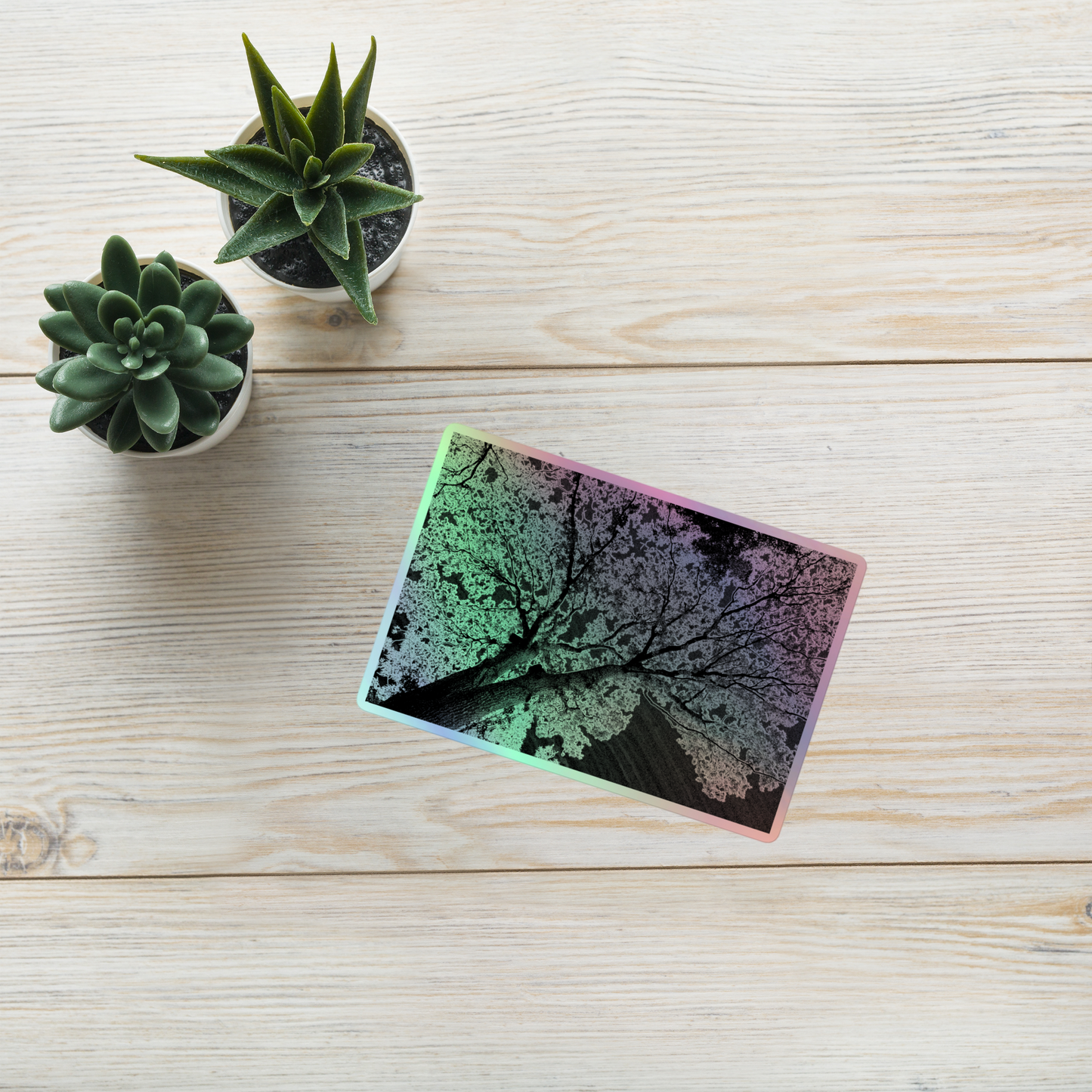 Lifestyle photo of a rectangular holographic sticker with an image of a dark embossed tree lightning design, placed on a table with two small succulents.