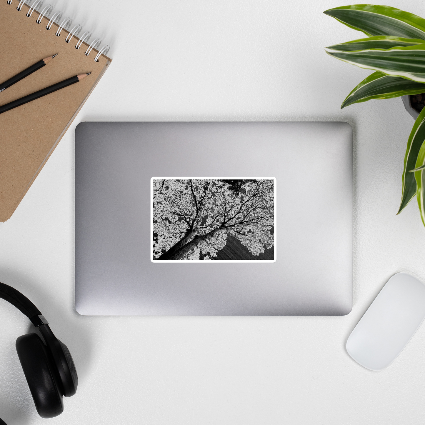 Lifestyle photo of a rectangular vinyl sticker with an image of an dark embossed tree design with lightning like features, placed on the outside of a laptop.
