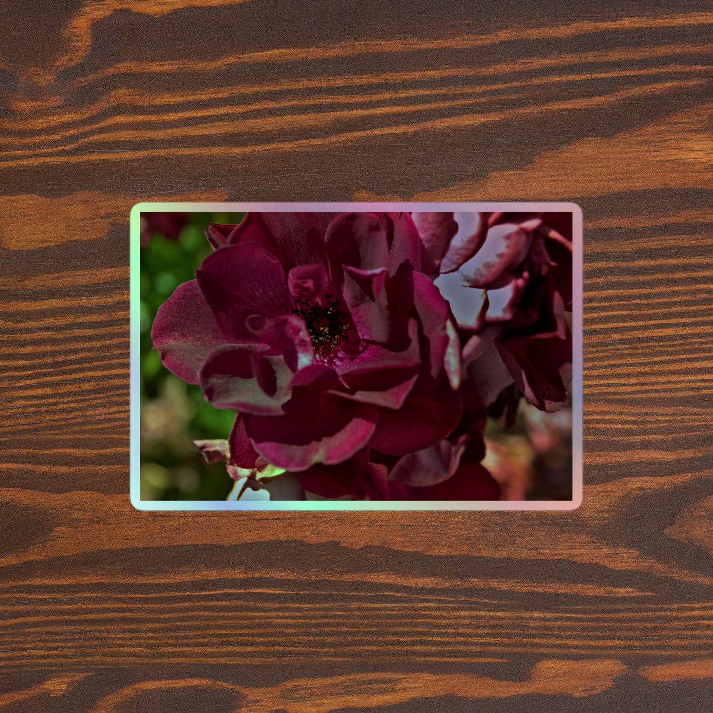 Lifestyle photo of a rectangular holographic sticker with a close up image of a maroon rose bloom, placed on a brown wooden table surface.