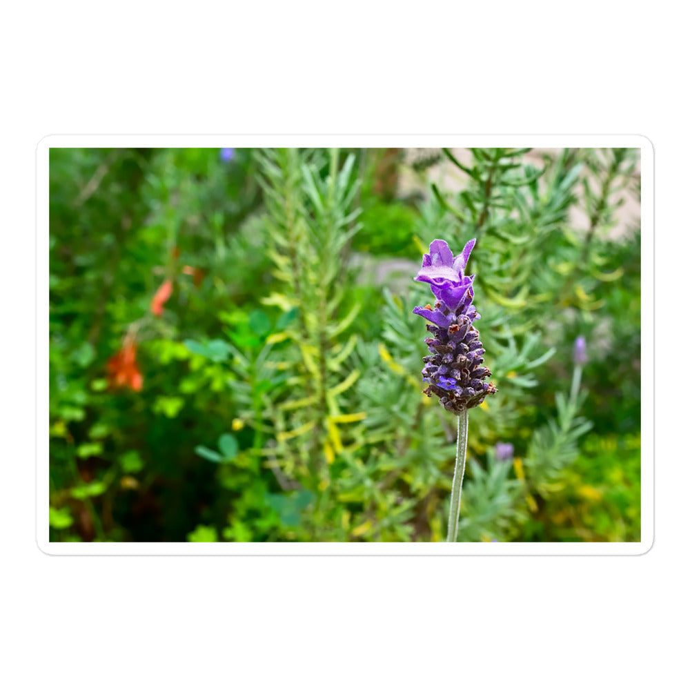 A large rectangular vinyl sticker with an image of a lavender bloom in an herb garden.