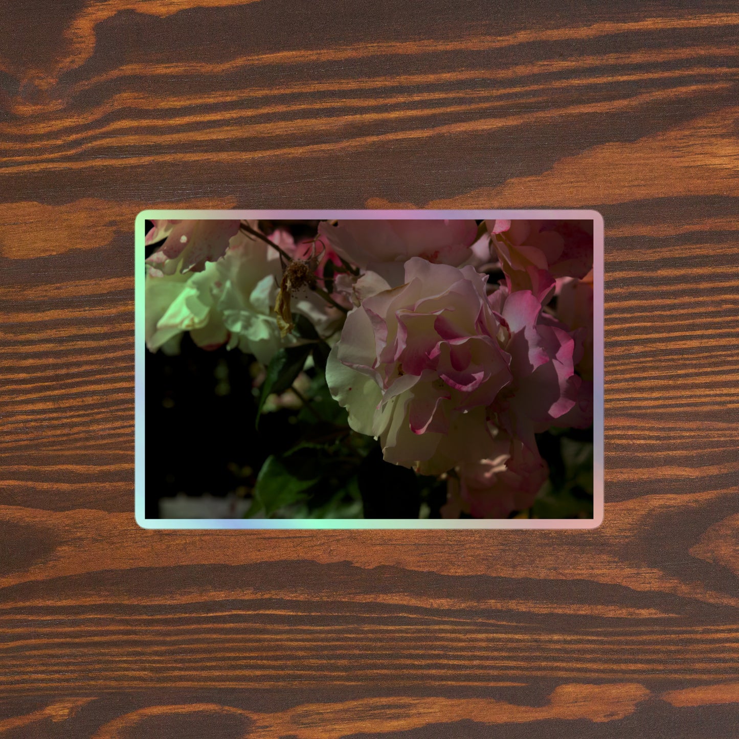 Lifestyle photo of a rectangular holographic sticker with an image of pink tipped white rose blooms, placed on a brown wooden table surface.