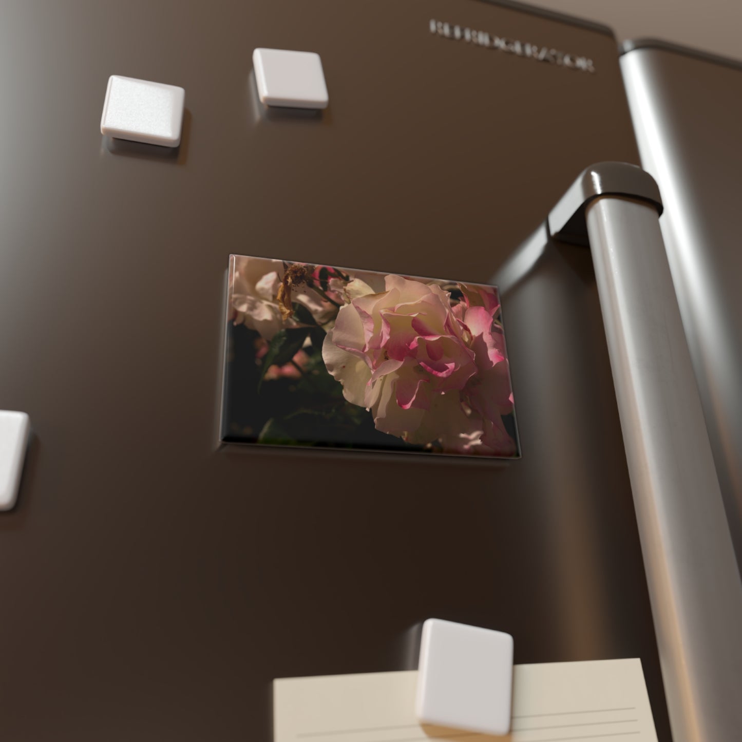 Lifestyle photo of a rectangular button magnet with an image of a cream and pink rose in morning light, placed on a fridge.